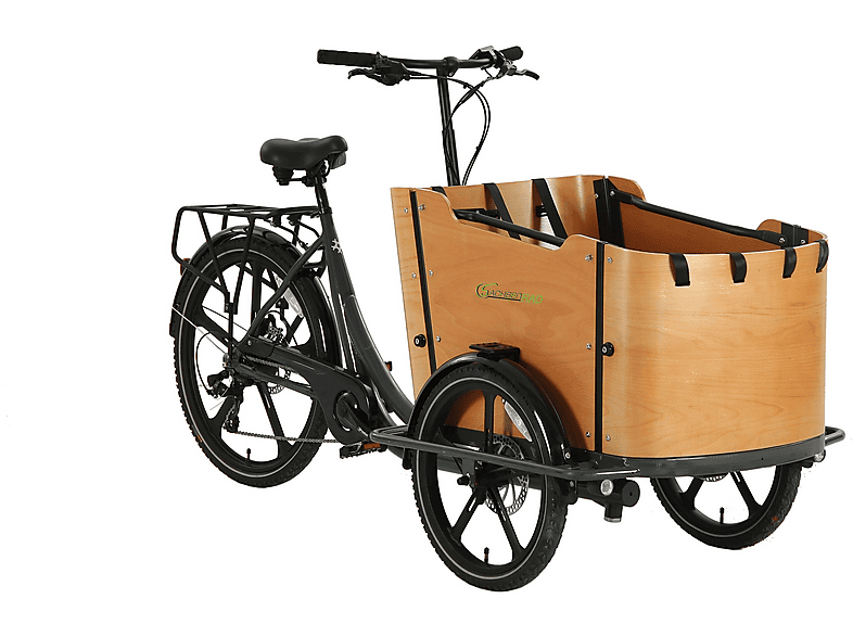 SACHSENRAD T2 Neo Vintage Lastenrad (Laufradgröße: 26 Zoll, Unisex-Rad, Schwarz)