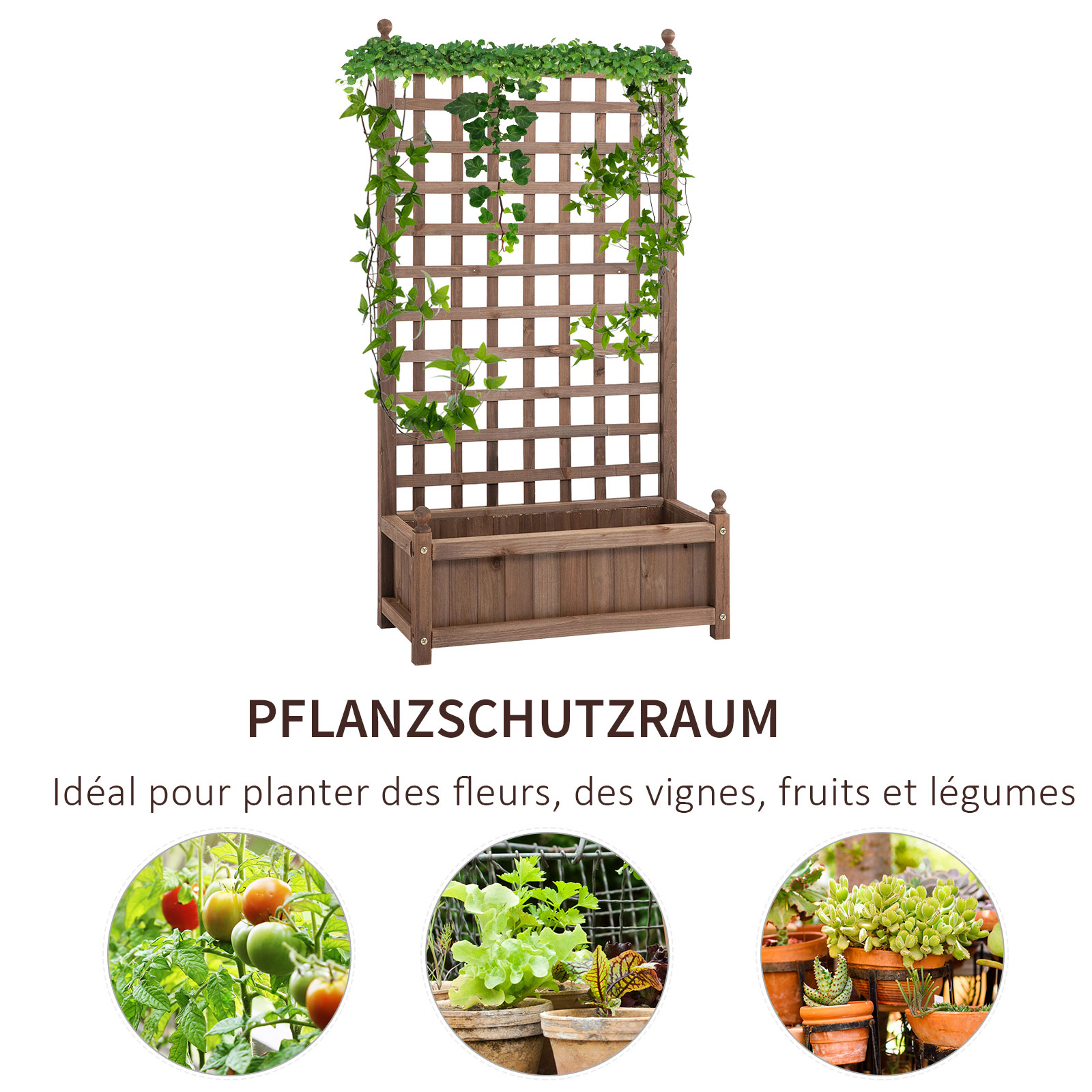 Holz-Rankgitter-Pflanzgefäß mit grünen Weinreben und Blumen. Enthält eine Pflanzbox mit verschiedenen Pflanzen.