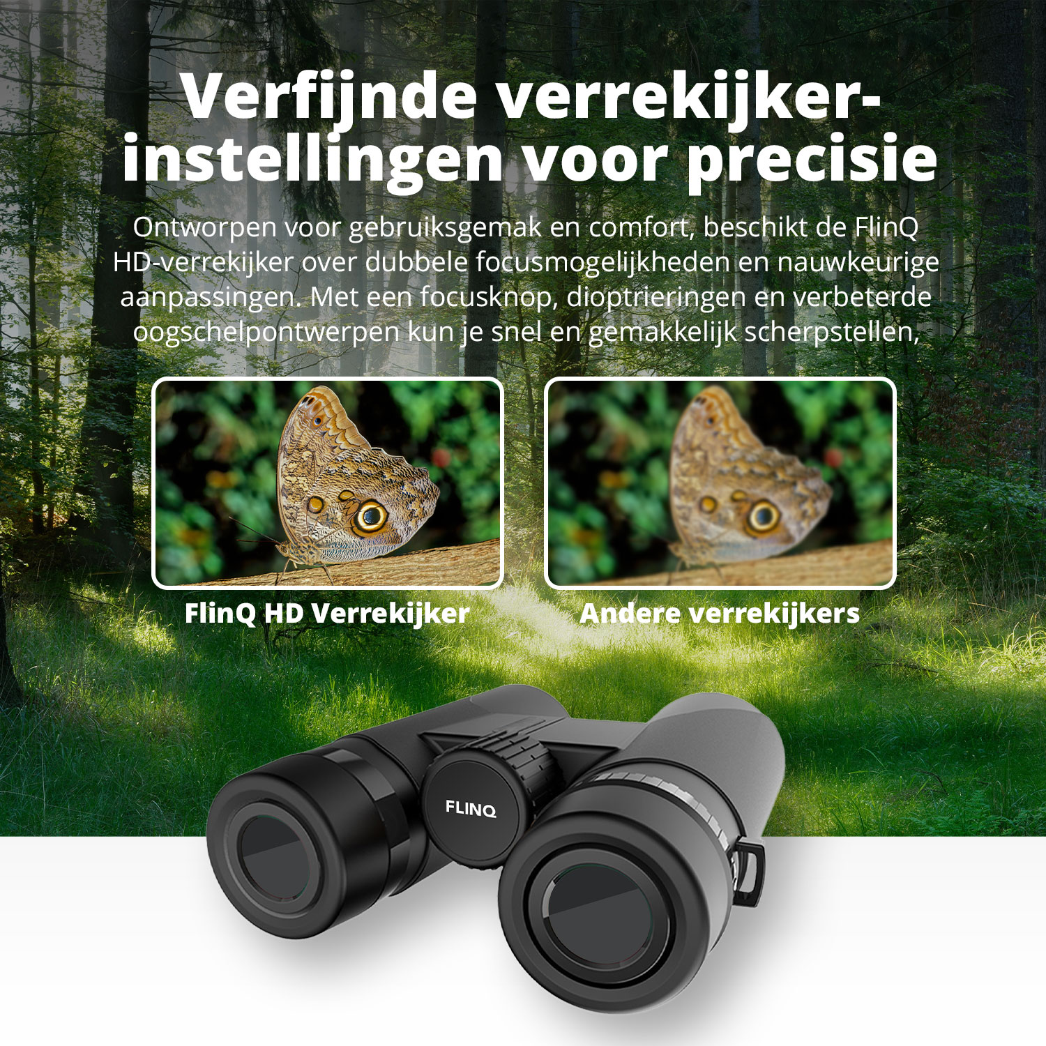 Black binoculars with text, and two framed images of butterfly wings, against a forest background.