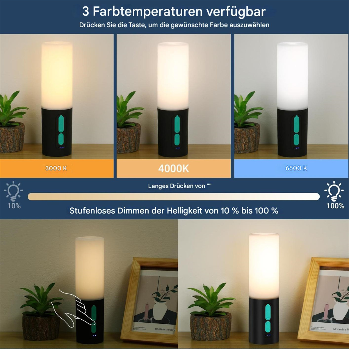 Drei Lampen mit unterschiedlichen Lichttemperaturen. Jede Lampe hat eine kleine Topfpflanze.