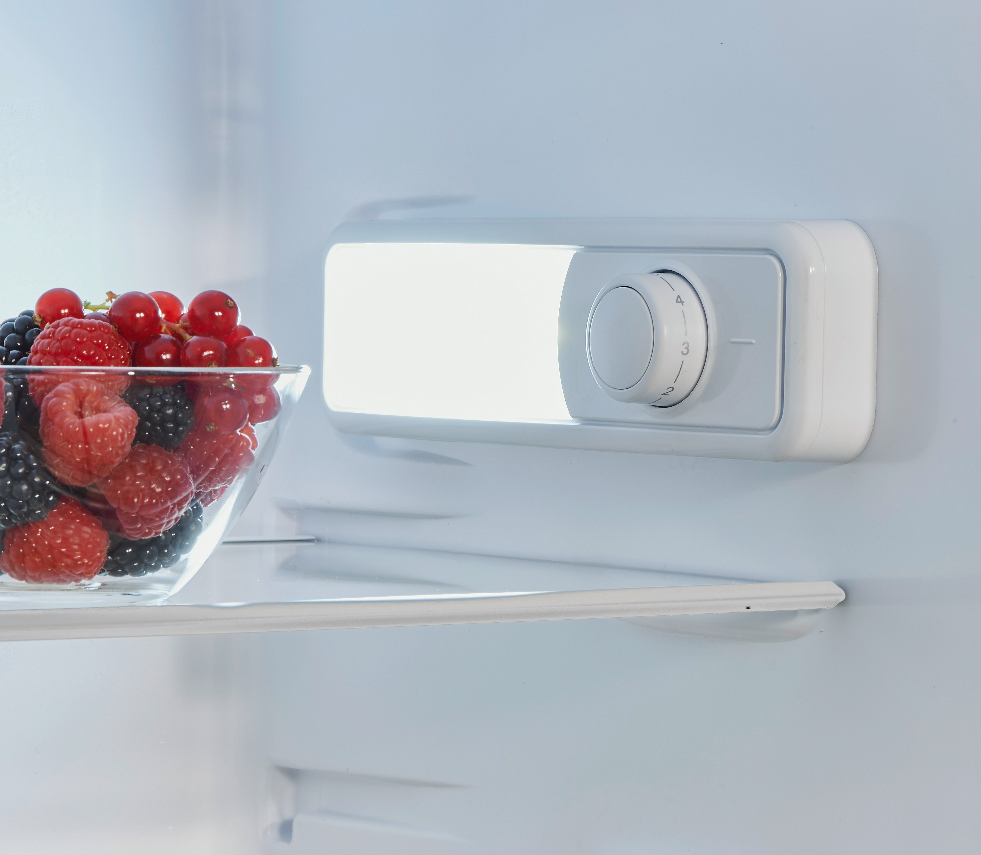 Kühlschrankinnenraum mit Beeren in Schüssel, weißem Lichtpanel und Bedienrad.
