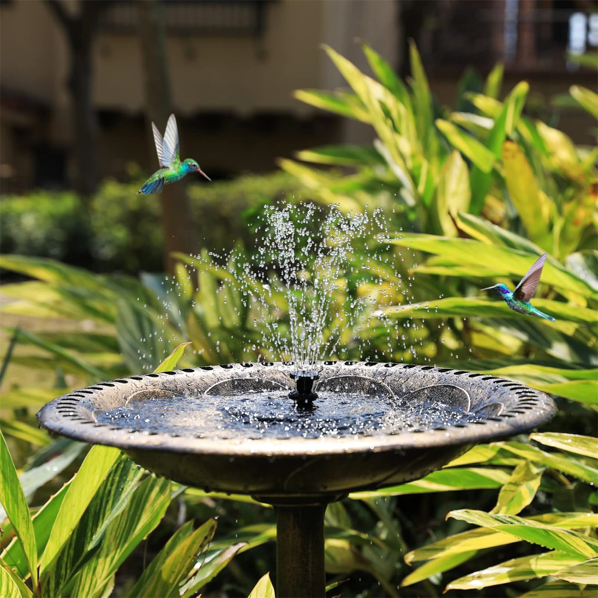 Brunnen mit zwei fliegenden Kolibris. Wasser schießt aus dem Brunnen.