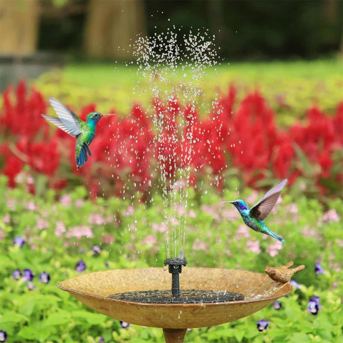Solarbrunnen mit Wasserspritzer, drei Kolibris und roten Blumen im Hintergrund.