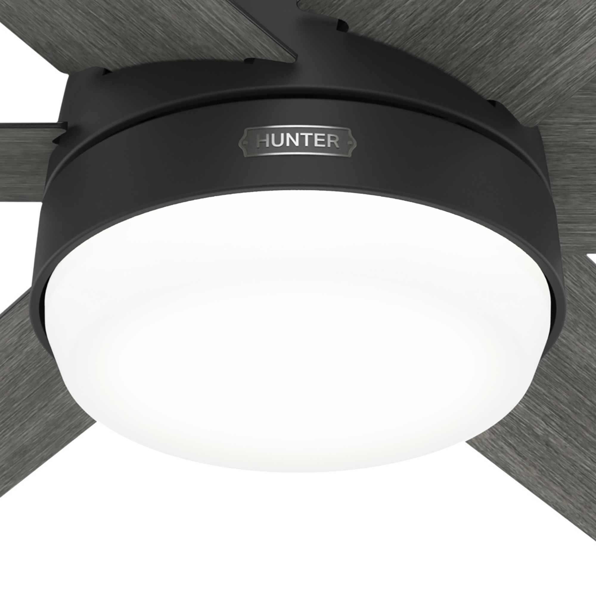 Nahaufnahme eines Deckenventilators. Er hat graue Flügel und einen schwarzen Sockel. Das Licht ist weiß.