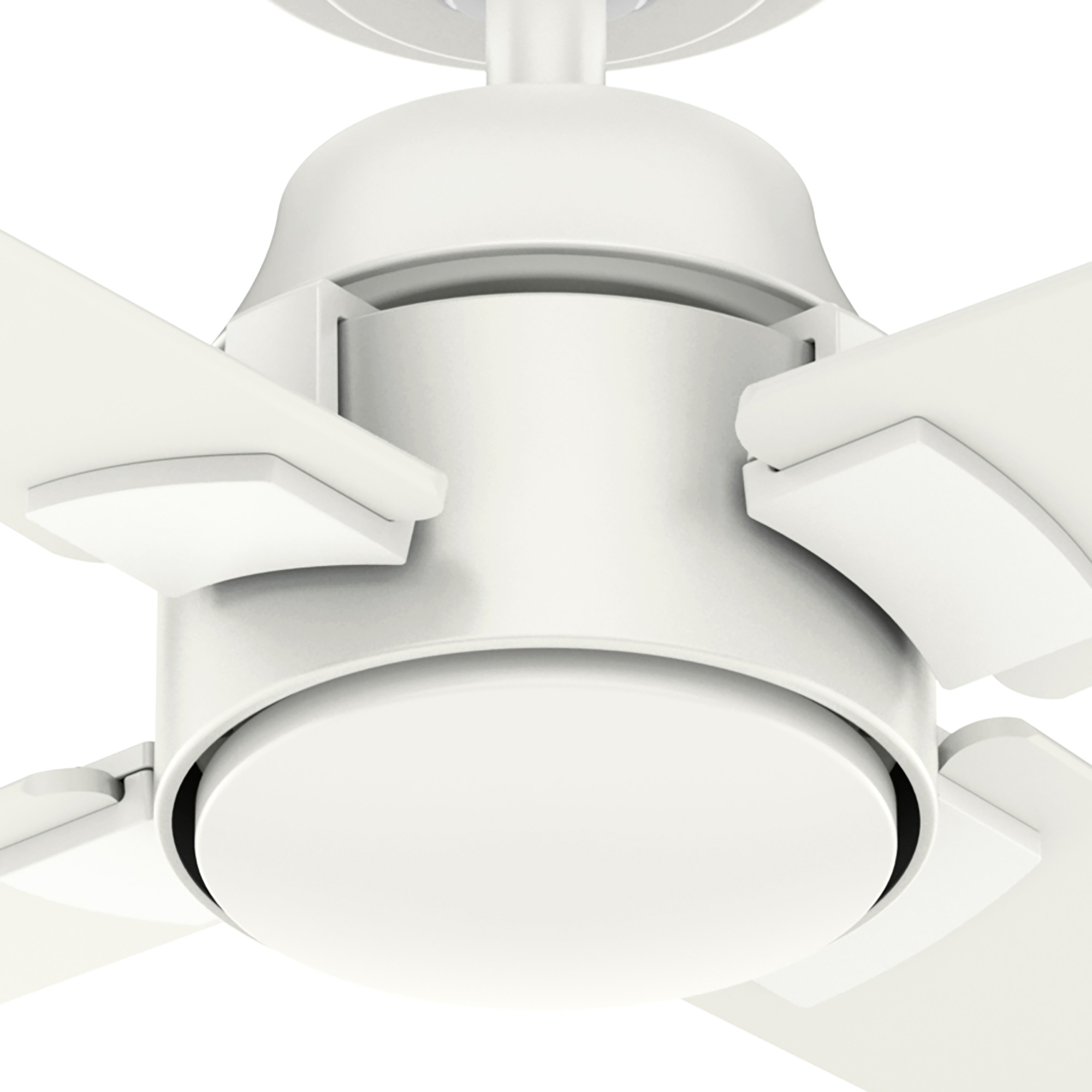 Nahaufnahme des Motorgehäuses und der Flügel eines weißen Deckenventilators. Die Flügel sind weiß.