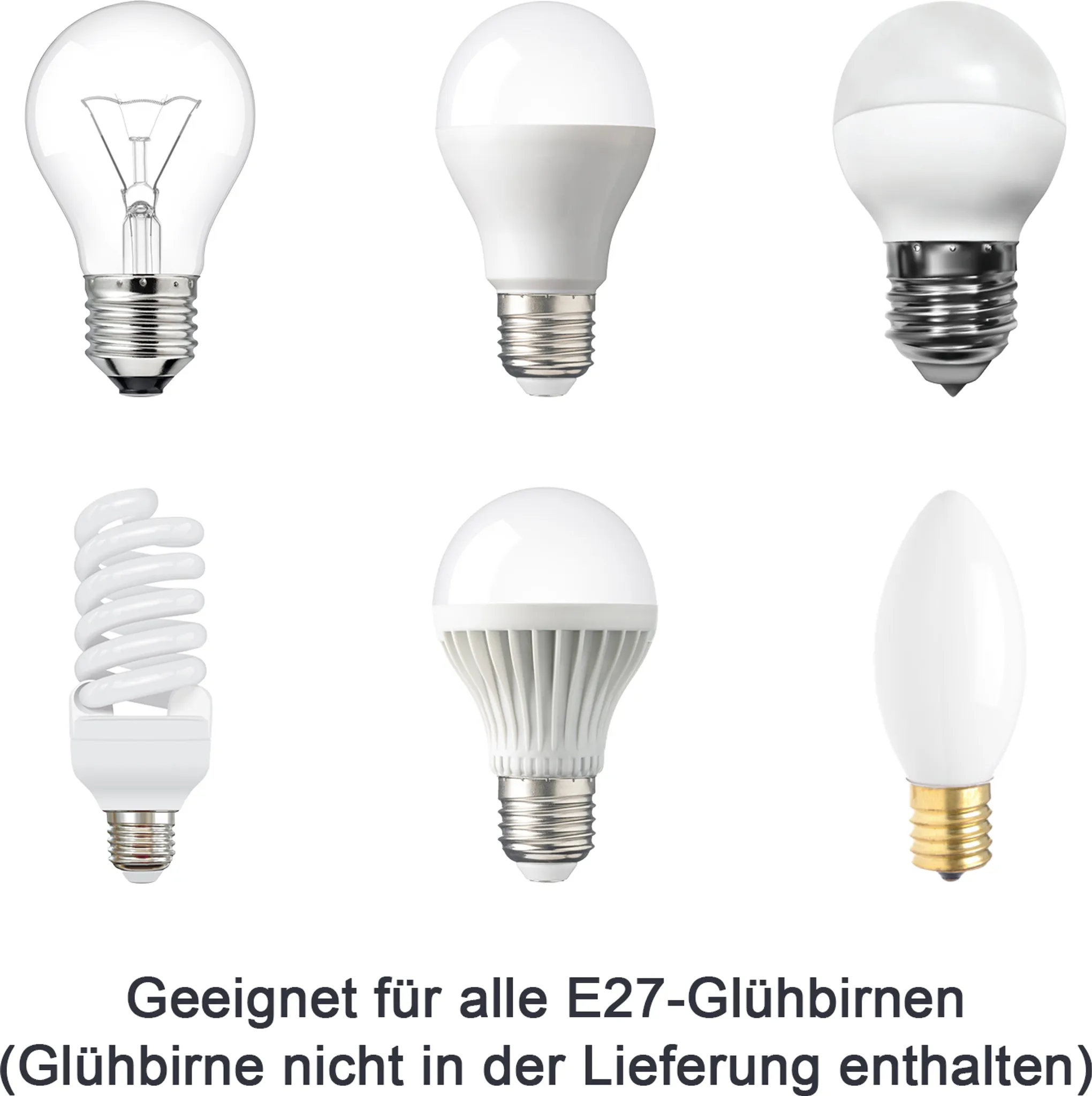 Sechs Glühbirnen, verschiedene Typen, auf weißem Hintergrund.