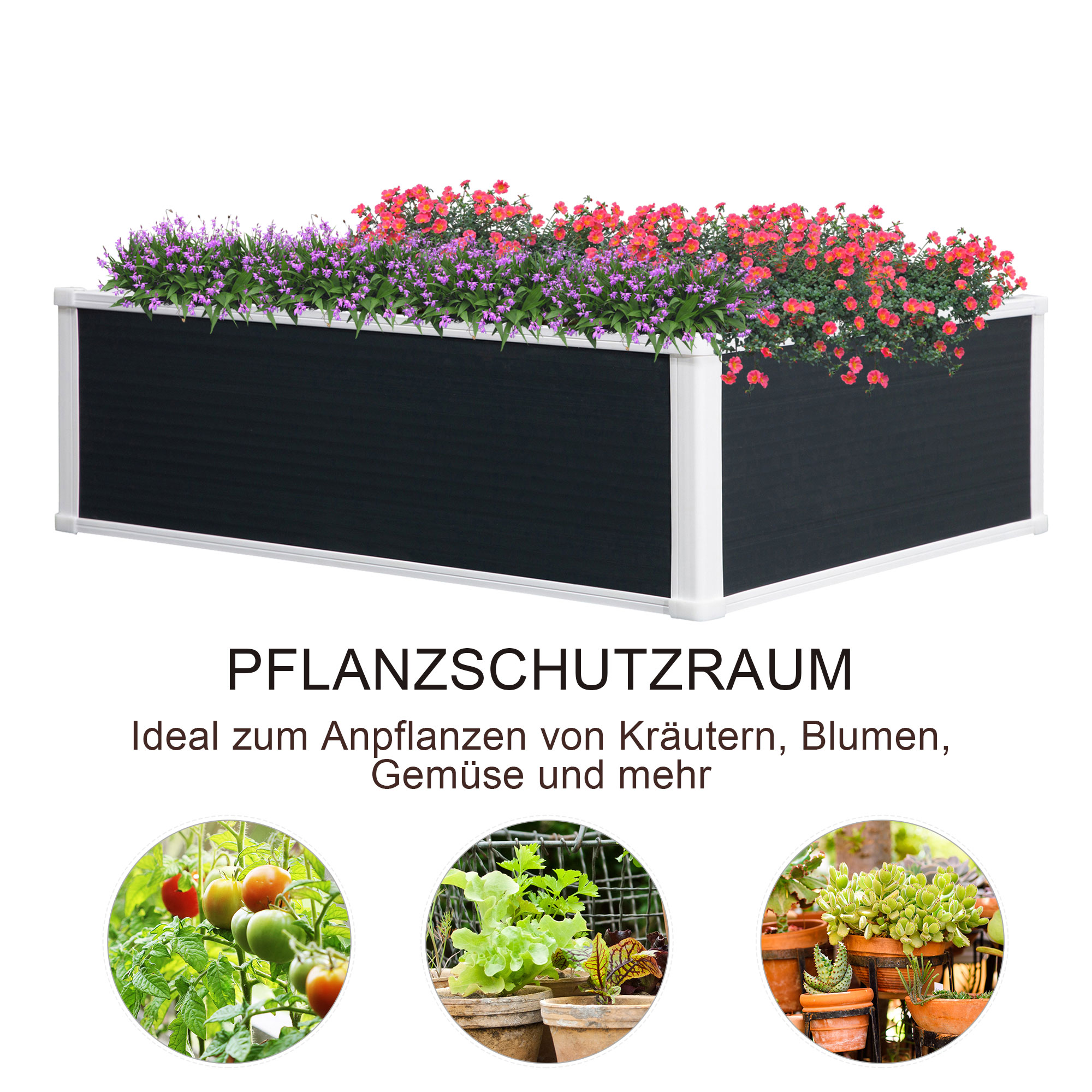 Ein Hochbeet mit bunten Blumen und Pflanzen, mit Text über das Pflanzen von Kräutern und Gemüse.