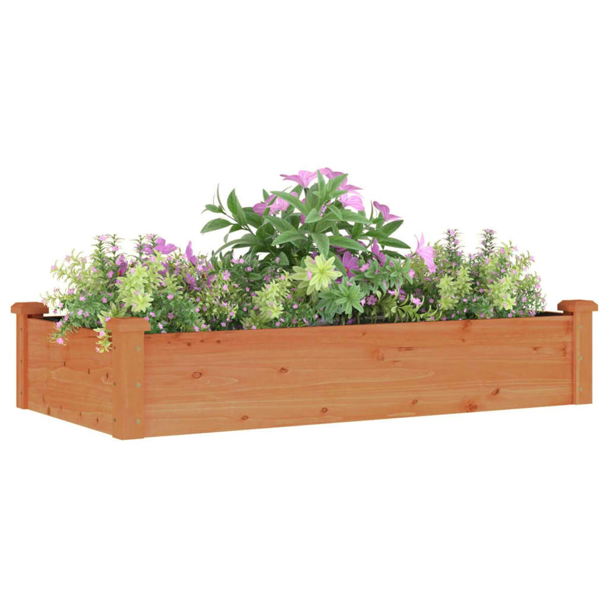 Holzpflanzkasten gefüllt mit grünen und lila Blumen vor weißem Hintergrund.