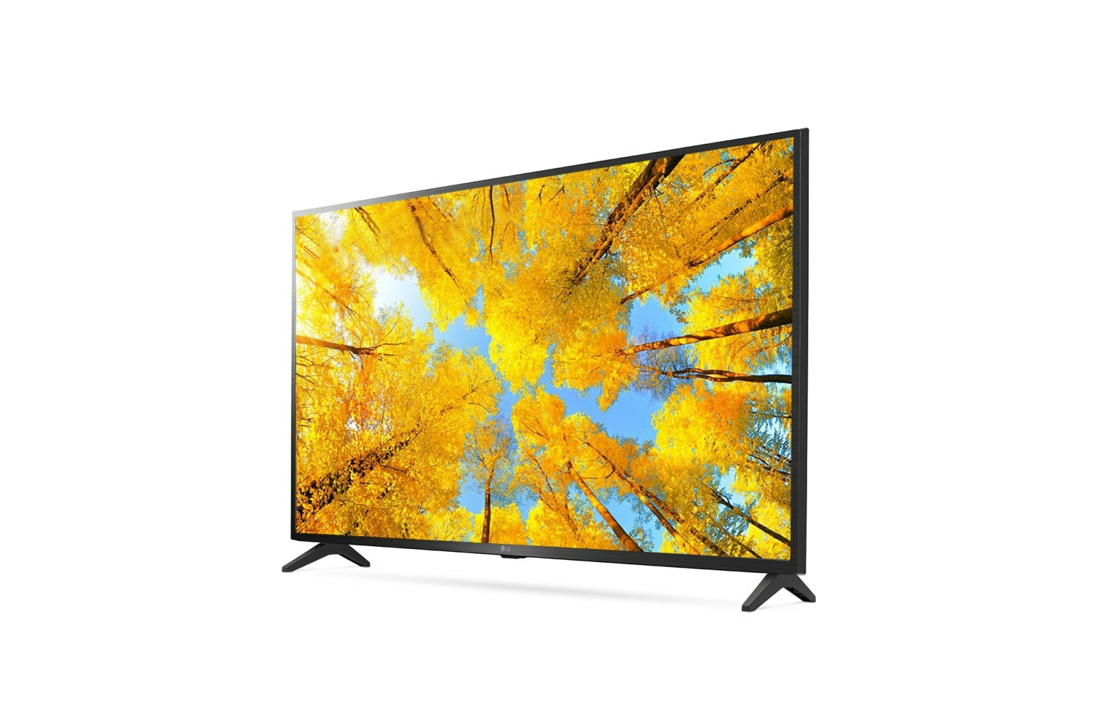 TV su sfondo bianco. Mostra una foresta con alberi gialli.