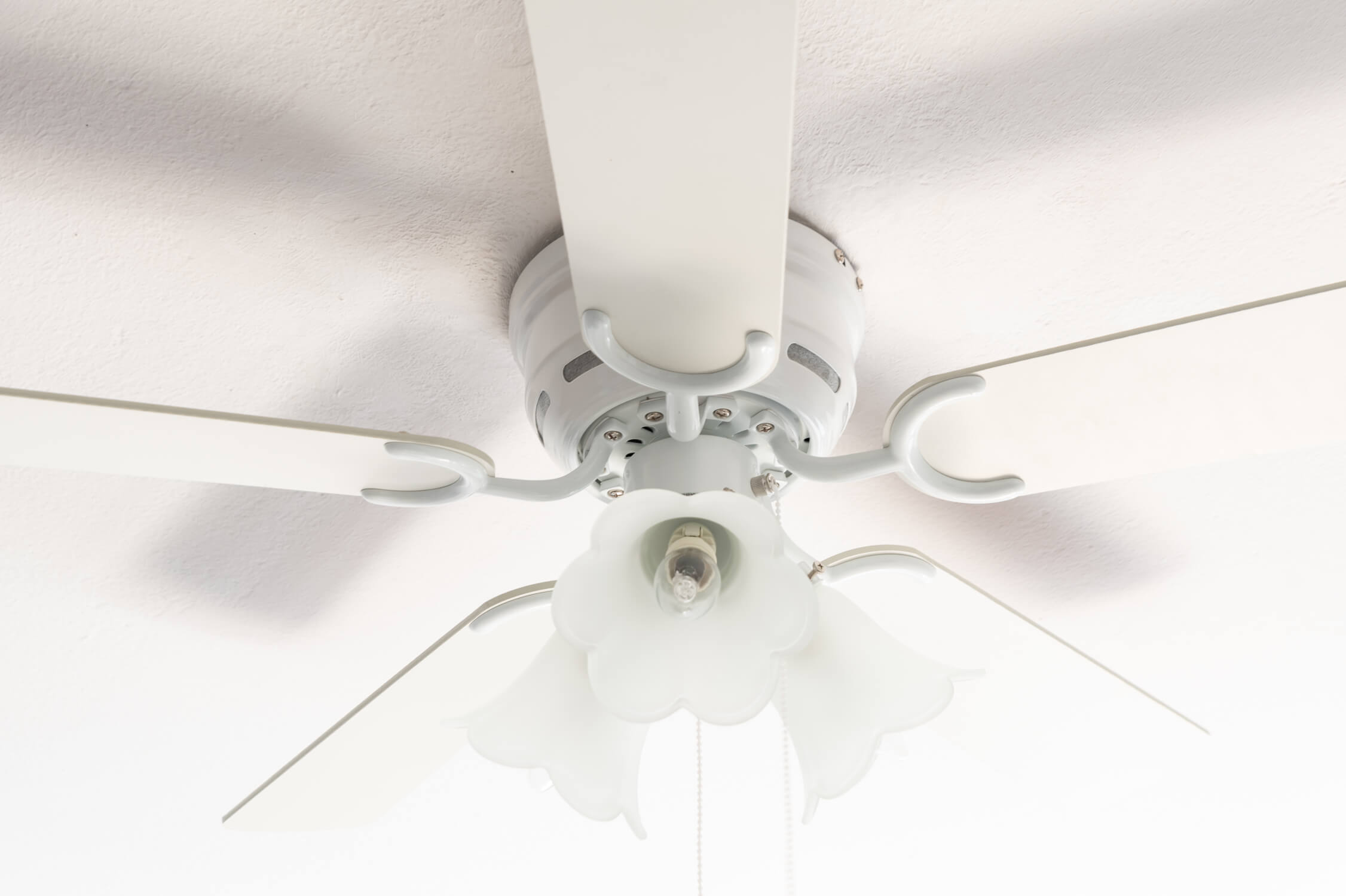 Ventilatore da soffitto bianco con quattro pale e un'apparecchio floreale. Vista dal basso.