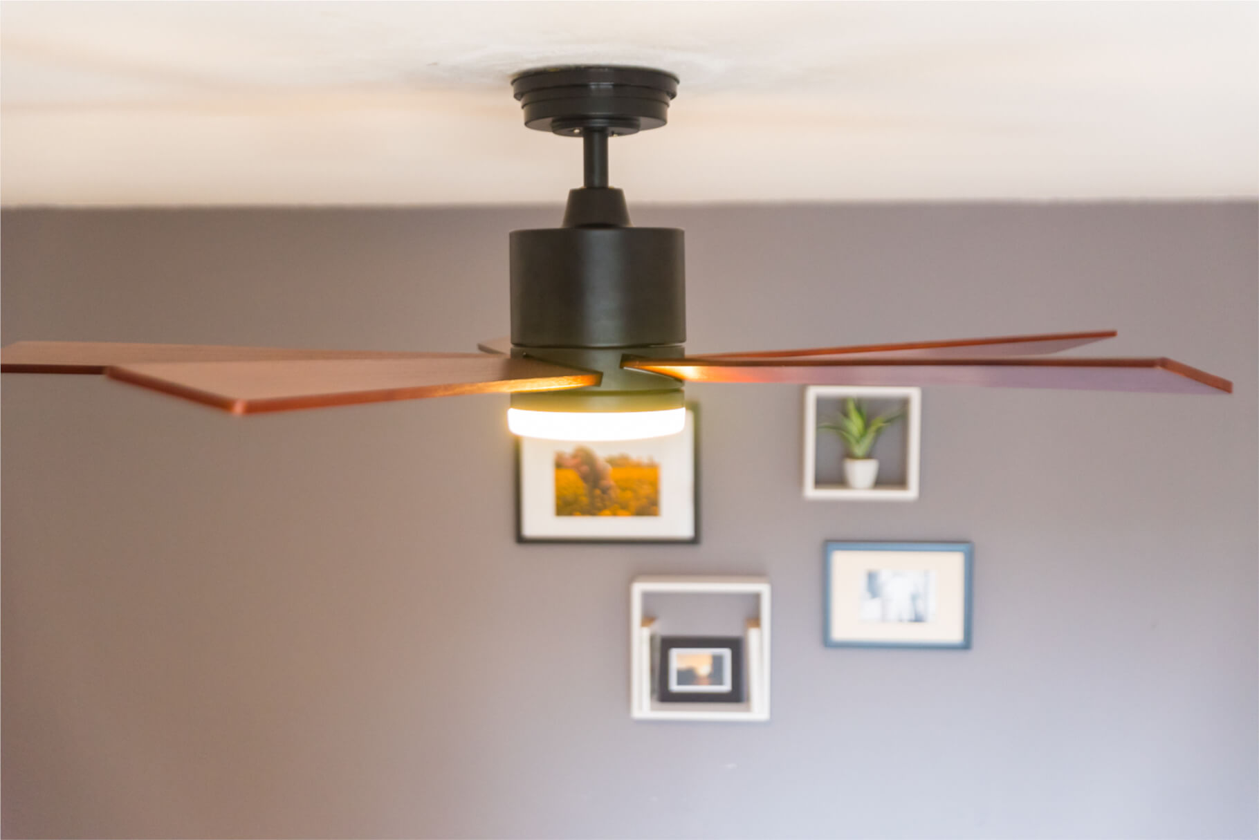 Ein Deckenventilator mit Holzflügeln ist beleuchtet. Bilder hängen im Hintergrund an einer grauen Wand.