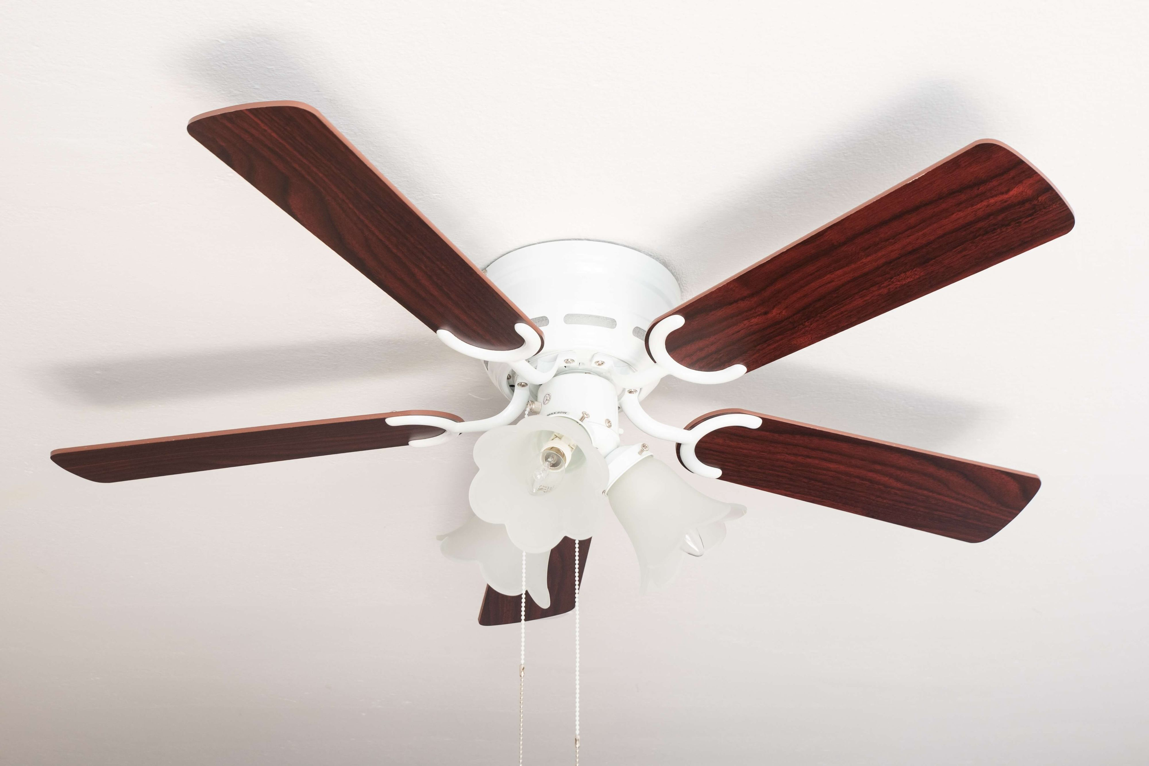 Deckenventilator mit fünf dunklen Holzblättern und drei Leuchten mit Milchglas.