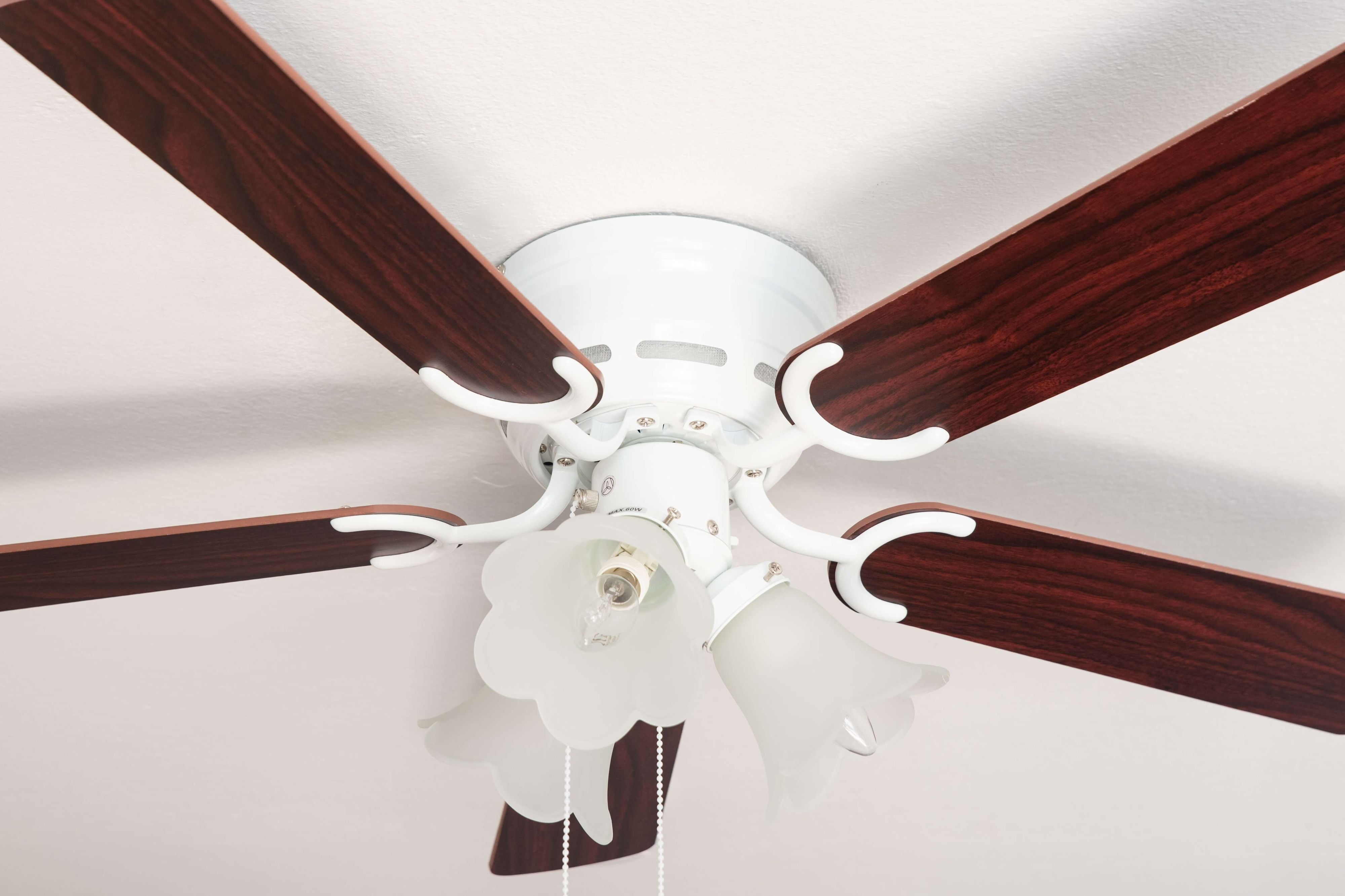 Deckenventilator mit fünf dunkelbraunen Flügeln, weißer Halterung und drei Glasabdeckungen.