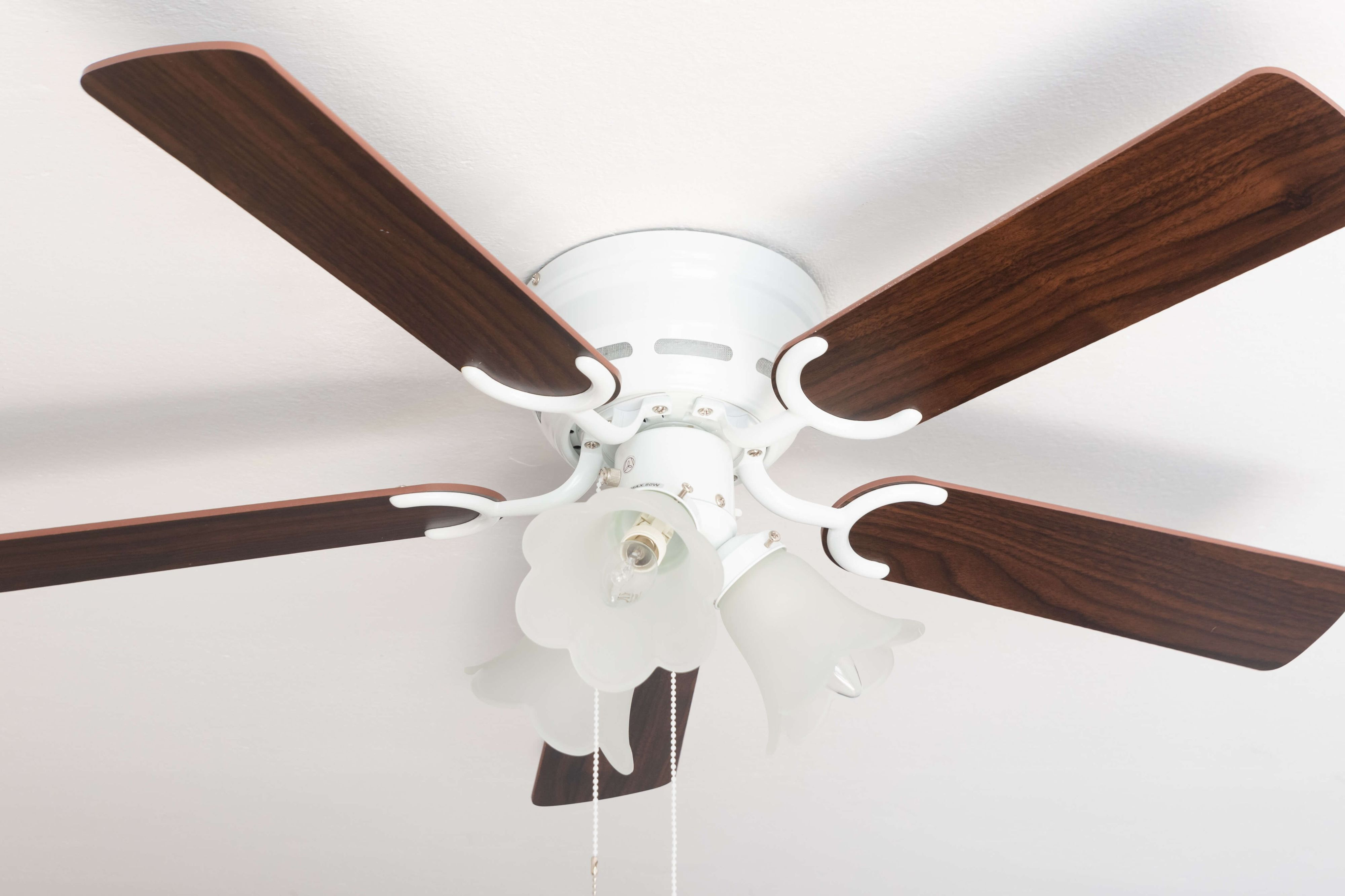 Deckenventilator mit weißem Sockel und braunen Flügeln. Drei florale Leuchten.