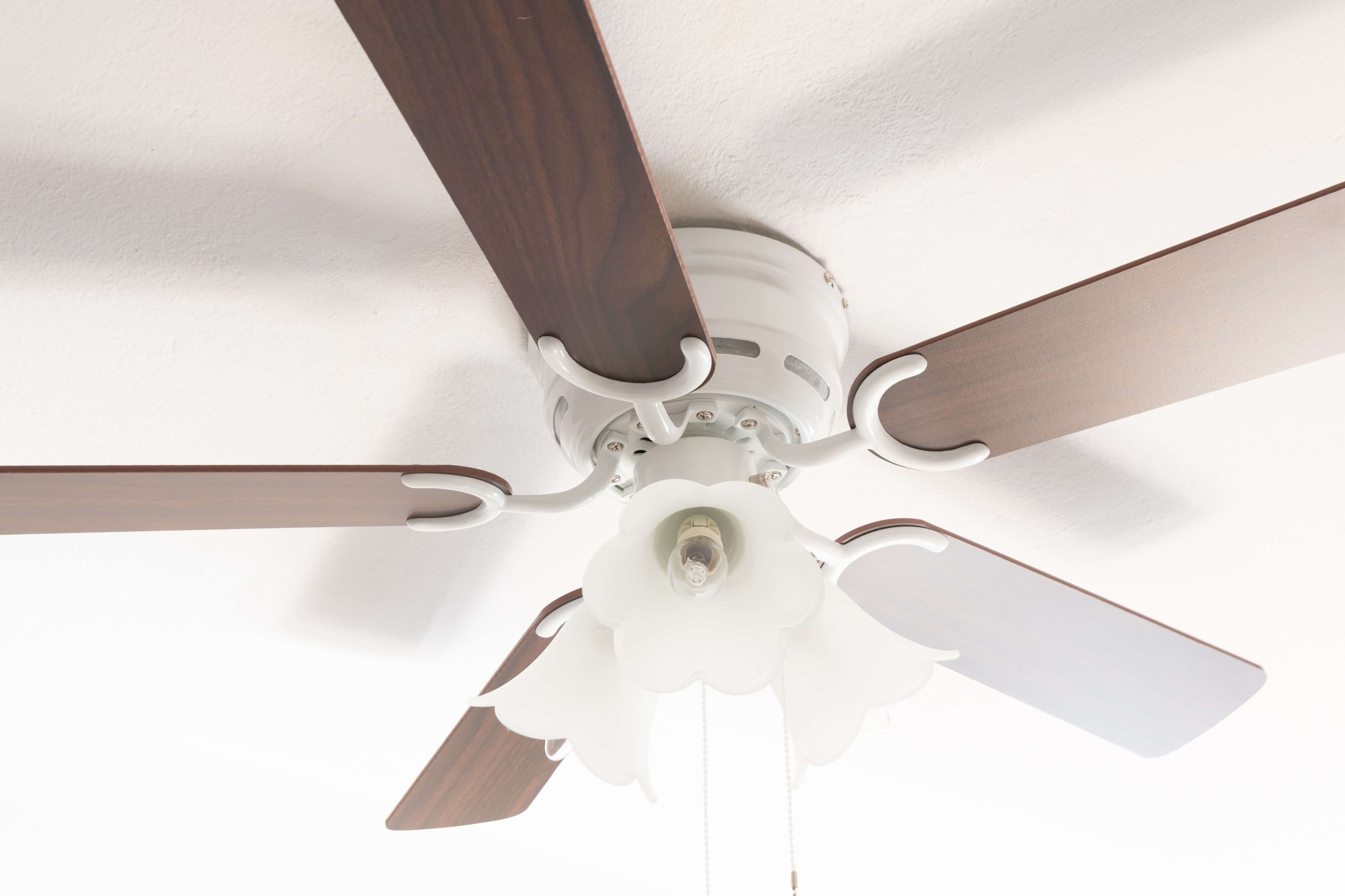 Deckenventilator mit weißen und braunen Flügeln. Der Ventilator ist an einer weißen Decke befestigt.
