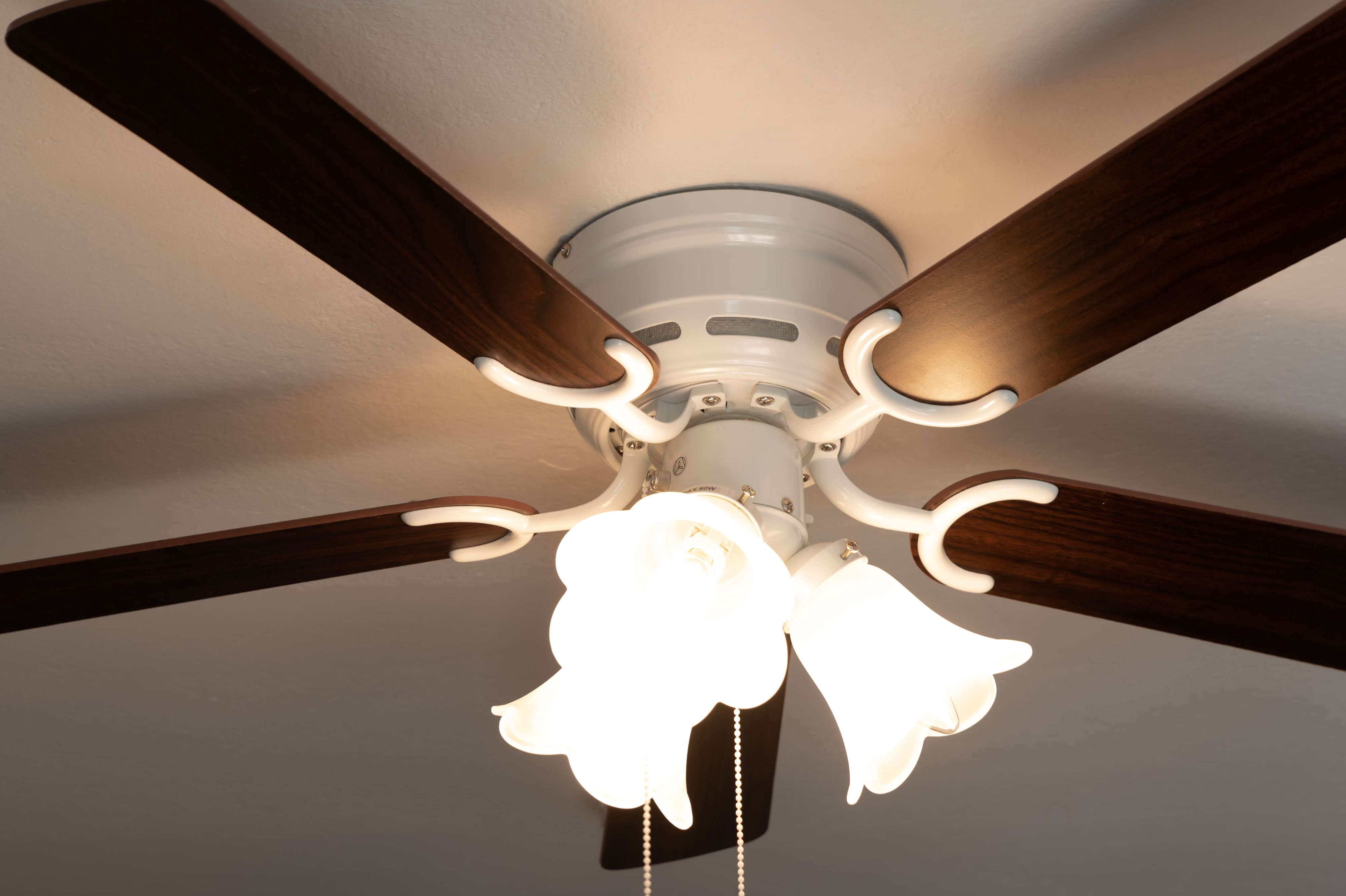 Deckenventilator mit Lichtern, dunklen Holzflügeln und weißer Decke.