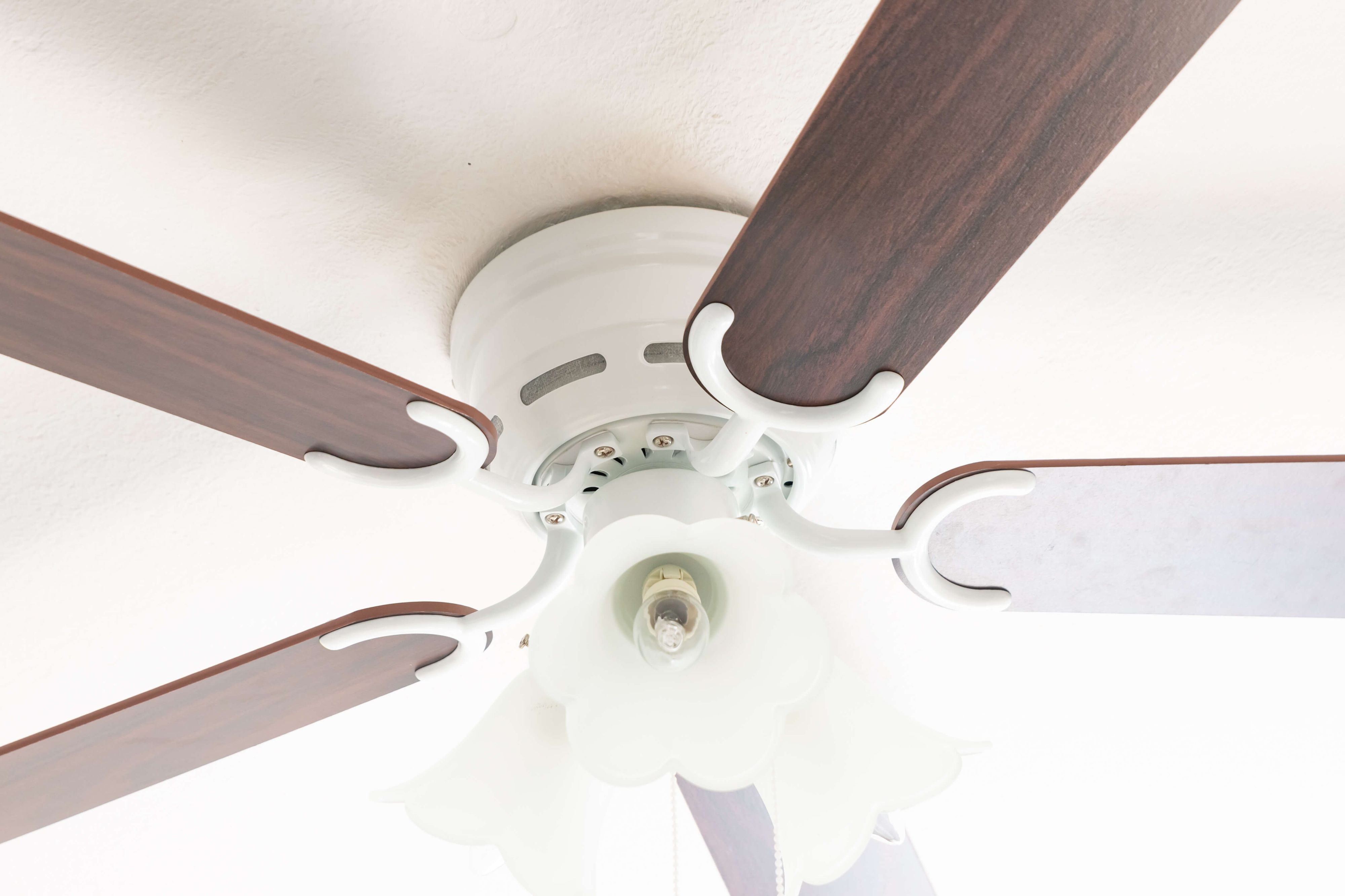 Nahaufnahme eines weißen Deckenventilators mit dunkelbraunen Flügeln. Der Ventilator ist an einer weißen Decke montiert.