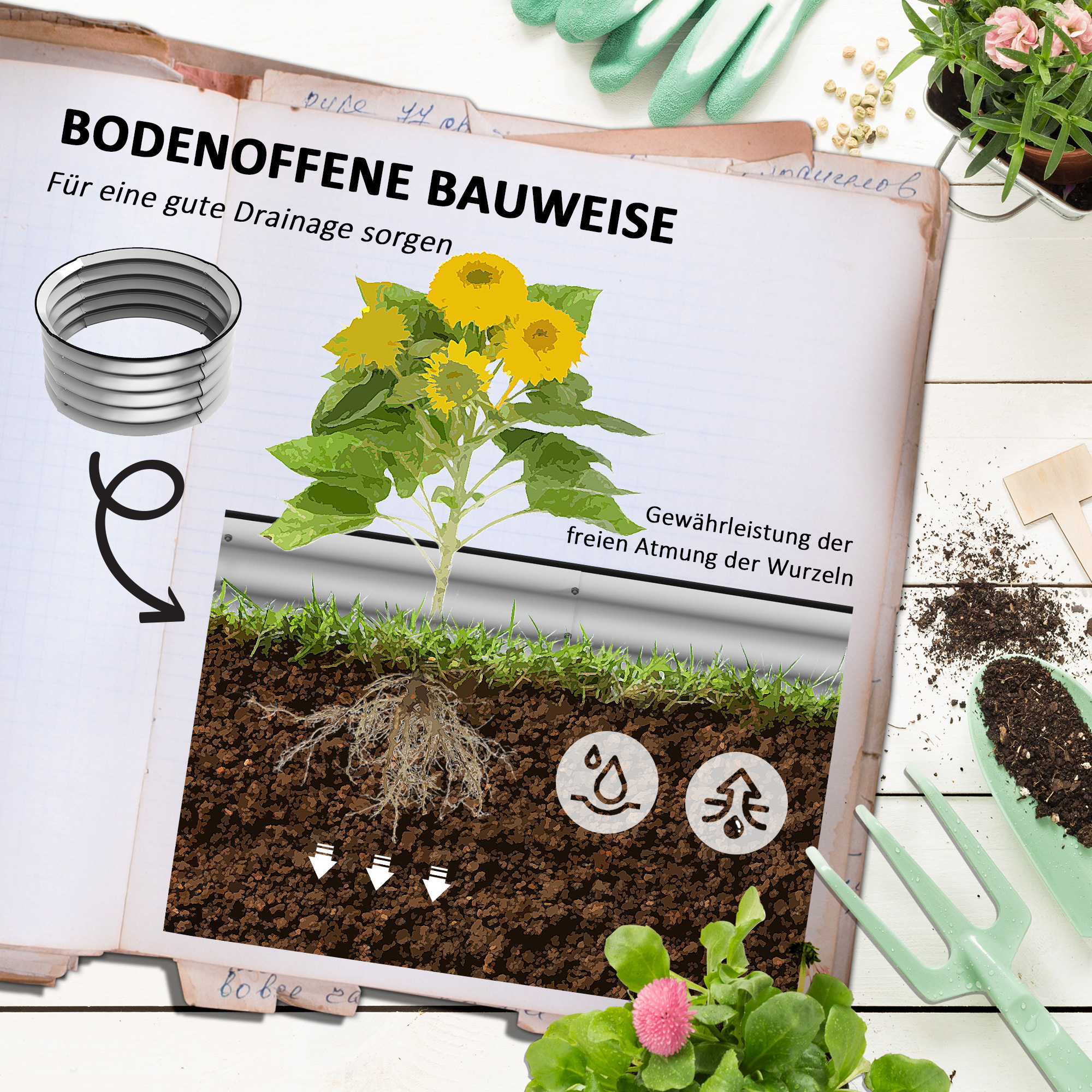 Eine Illustration zeigt ein Gartenbeet mit einer Sonnenblume. Pfeile zeigen Wasser und Wurzellüftung an. Werkzeuge sind da.
