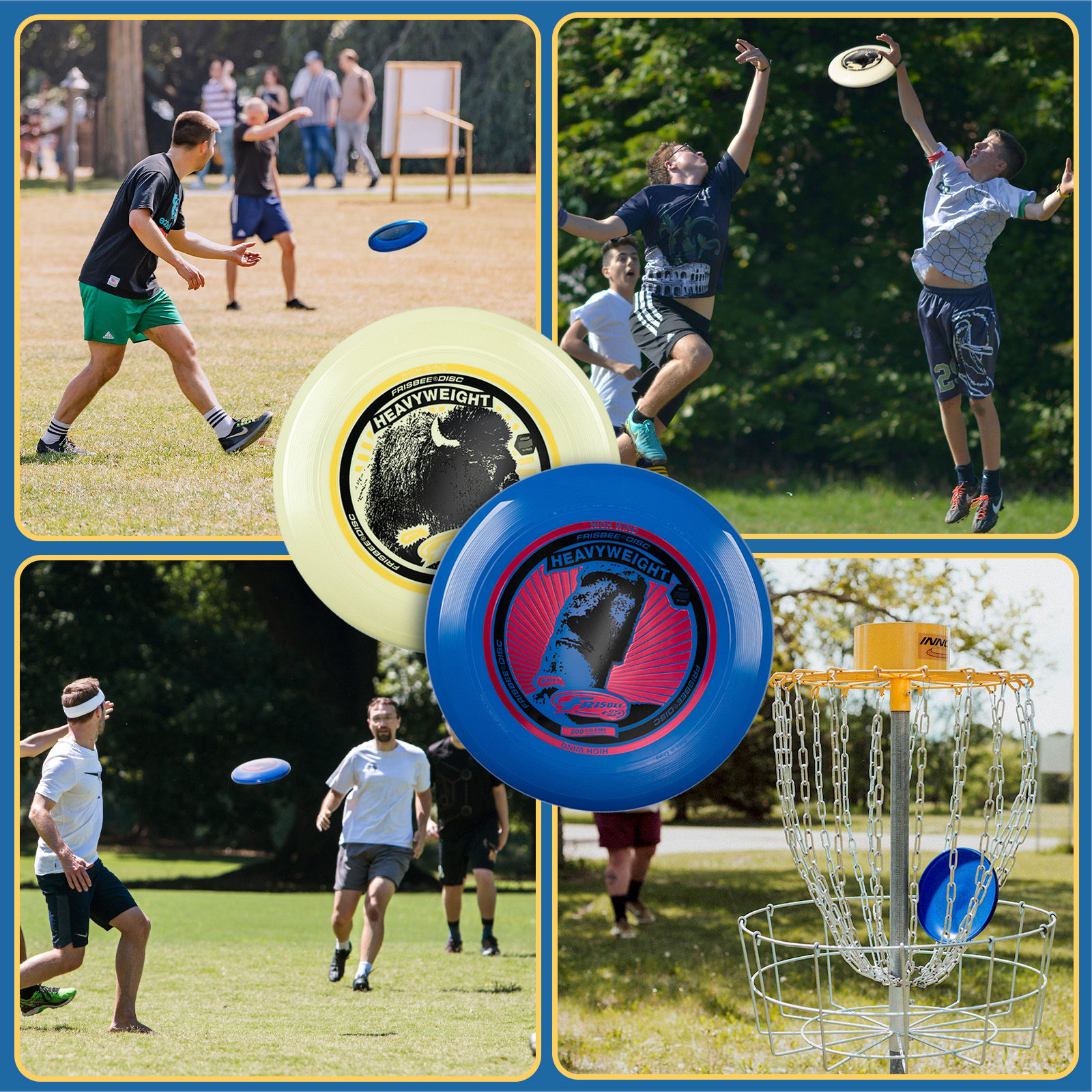 Leute spielen Frisbee im Park. Es gibt Frisbees und einen Disc-Golf-Korb.