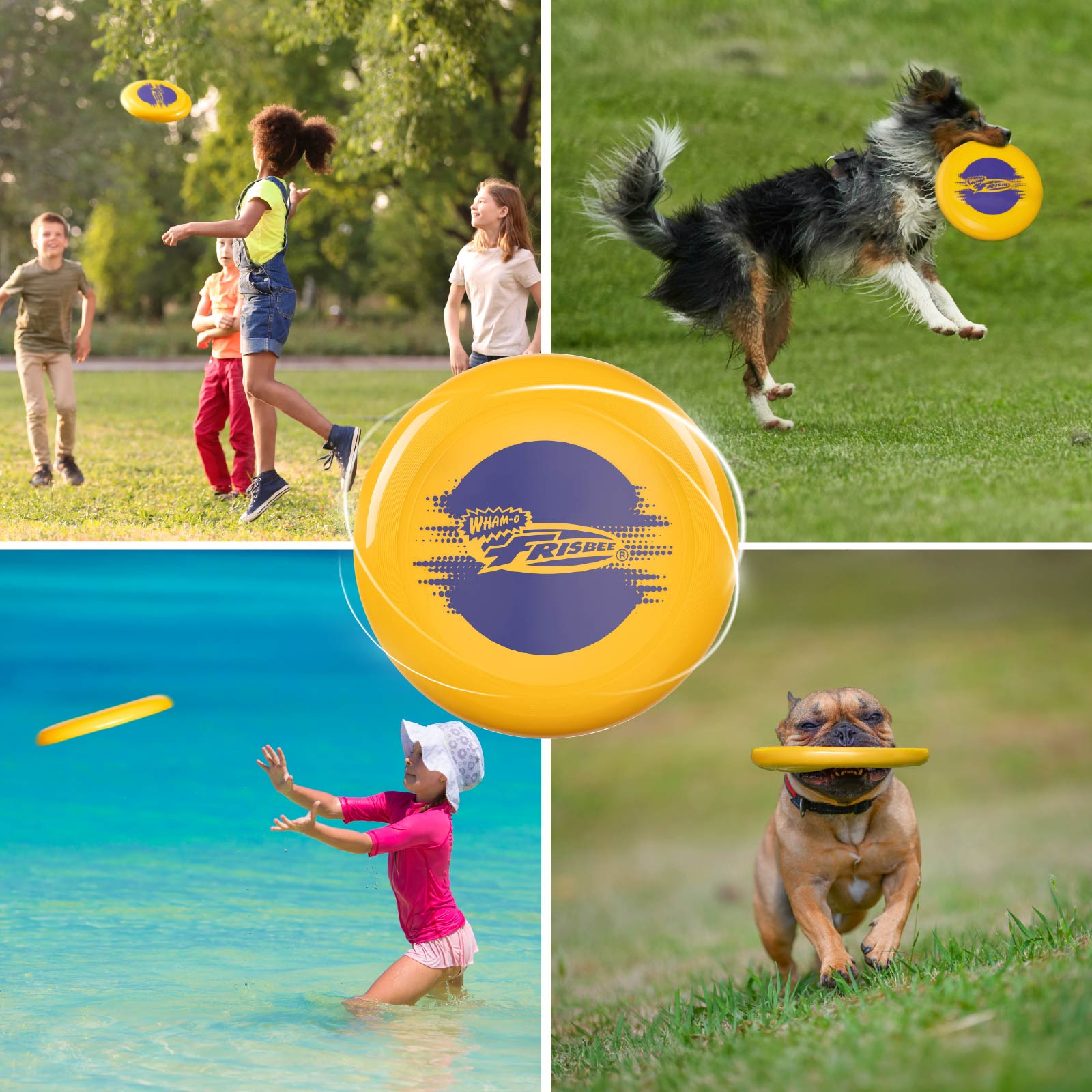 Collage von Bildern, die zeigen, wie Menschen und ein Hund mit einer gelben Frisbee spielen.