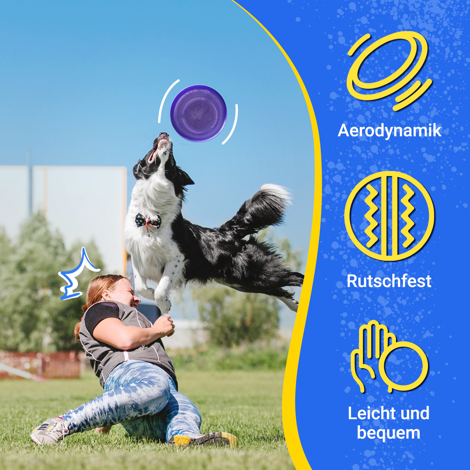 Hund springt nach lila Frisbee, Frau fällt, mit Text über Aerodynamik.