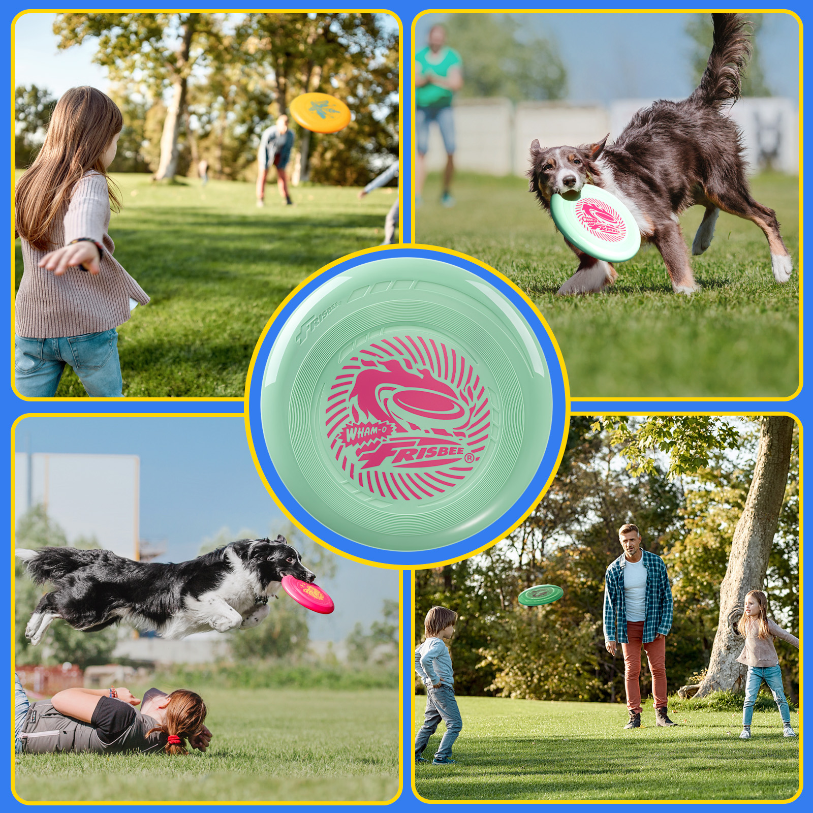 Mehrere Bilder von Menschen und einem Hund, die mit Frisbees spielen.