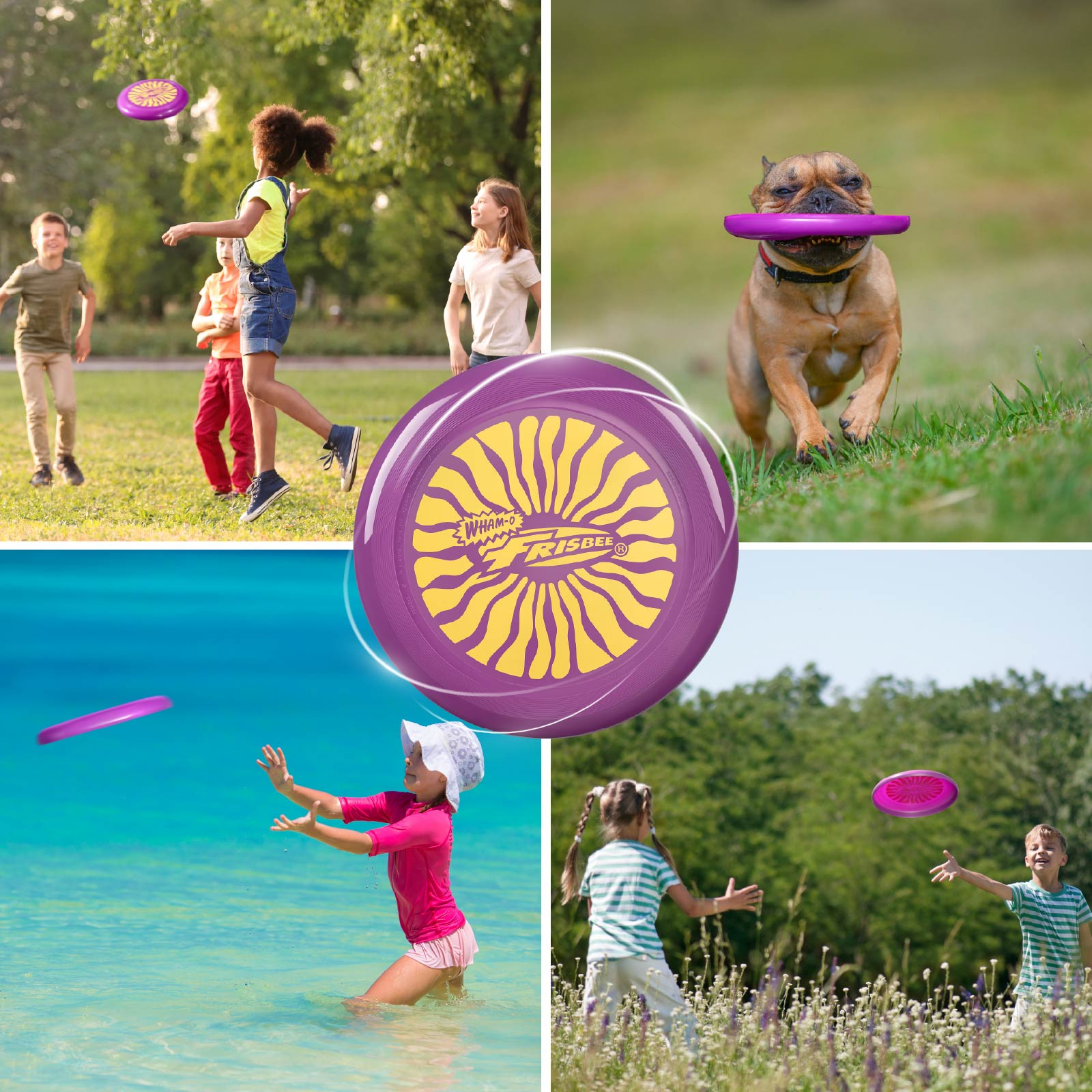 Mehrere Bilder von Kindern und einem Hund, die mit lila Frisbees spielen.