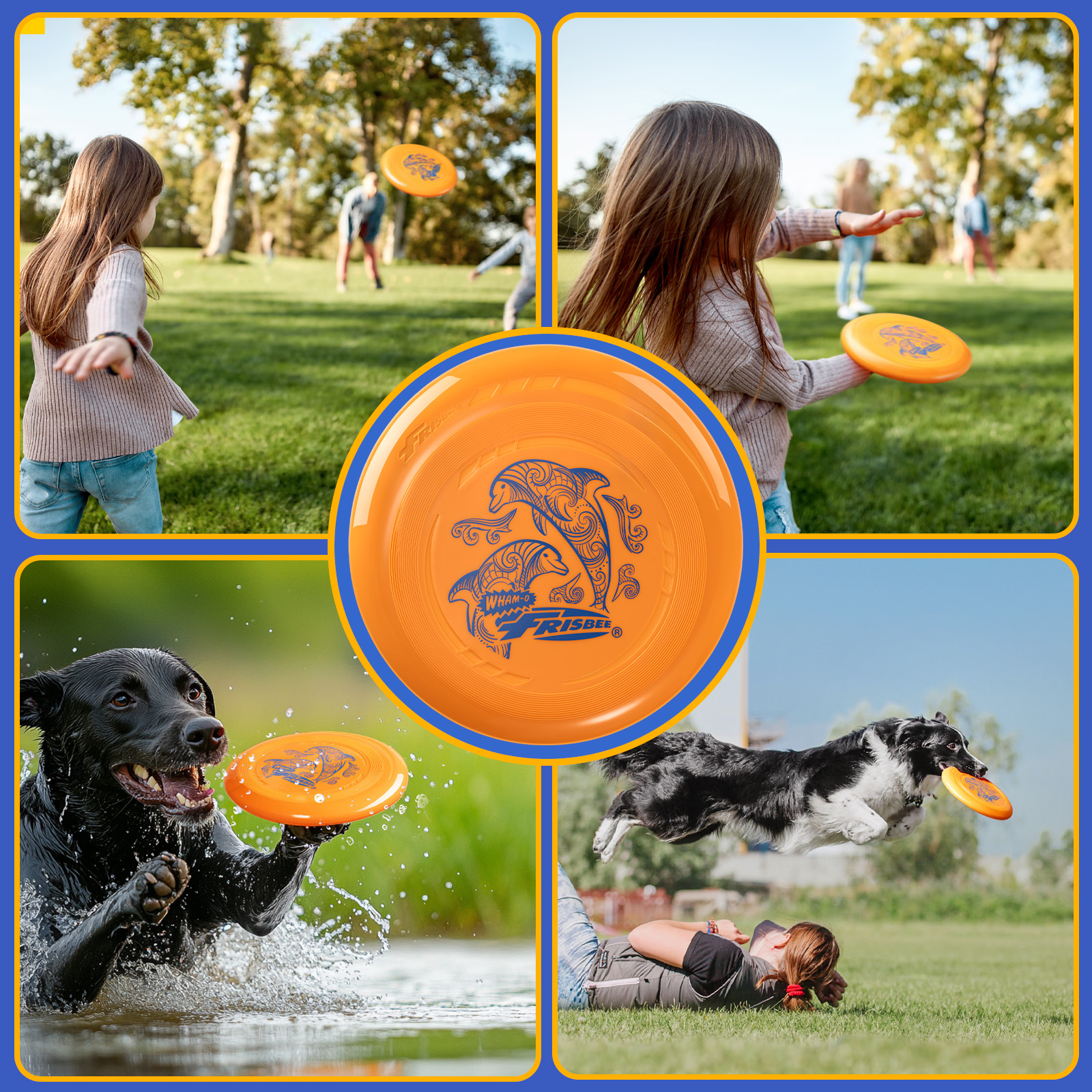 Mehrere Bilder zeigen Frisbees im Einsatz. Kinder in einem Park, ein Hund fängt und eine Person wirft.