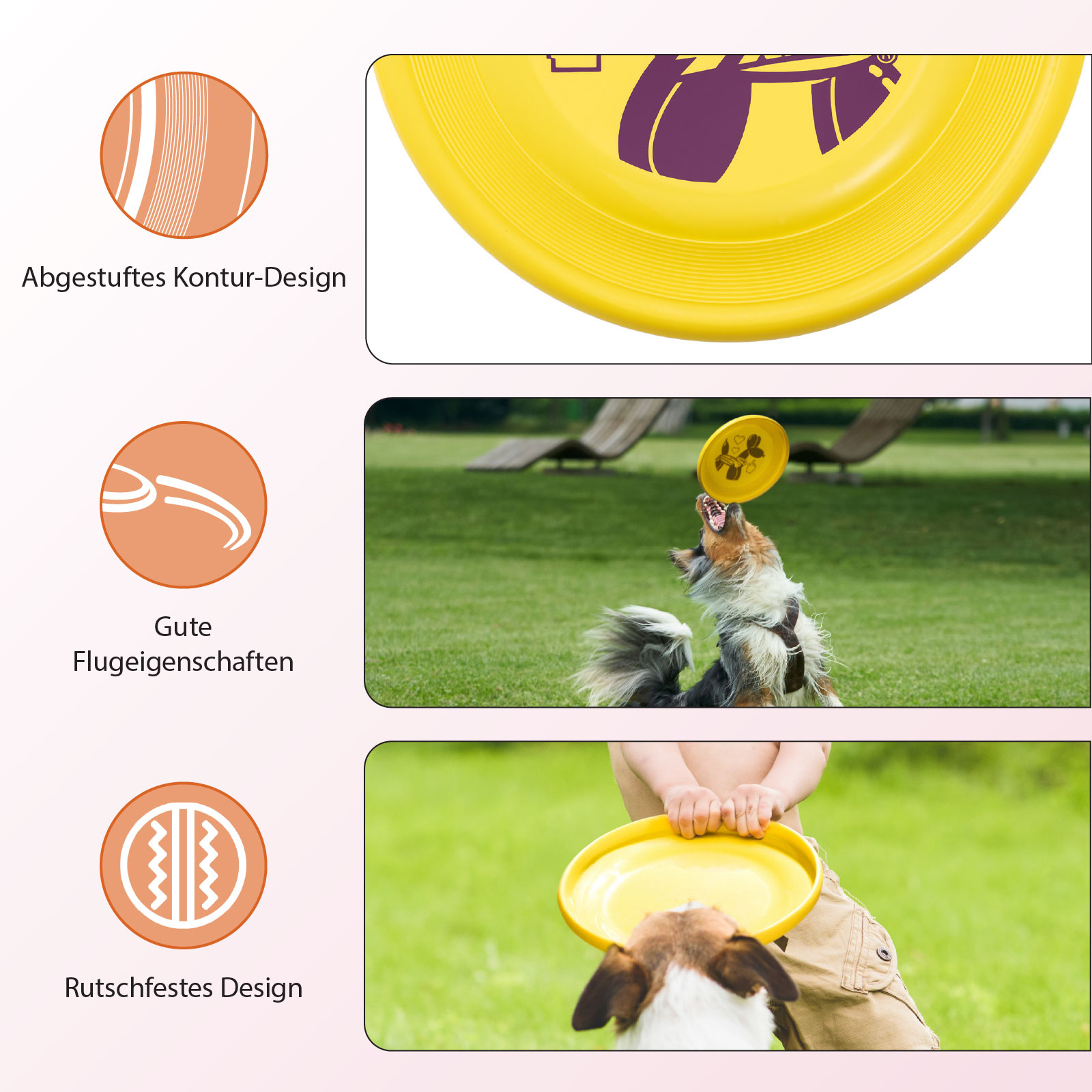 Hund fängt gelbe Frisbee in der Luft.