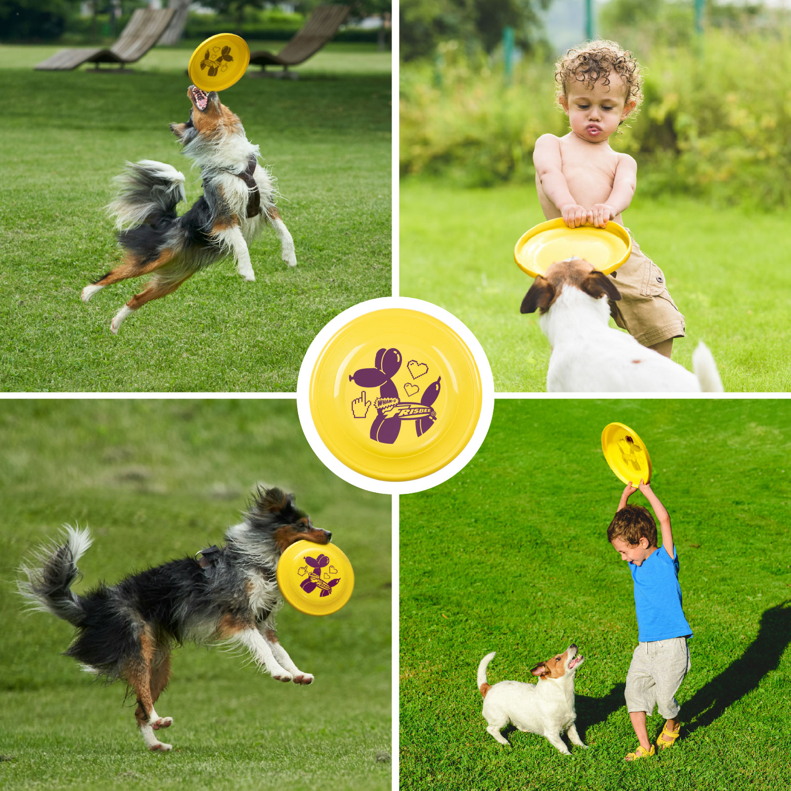 Mehrere Szenen von Hunden und Menschen, die mit Frisbees spielen.