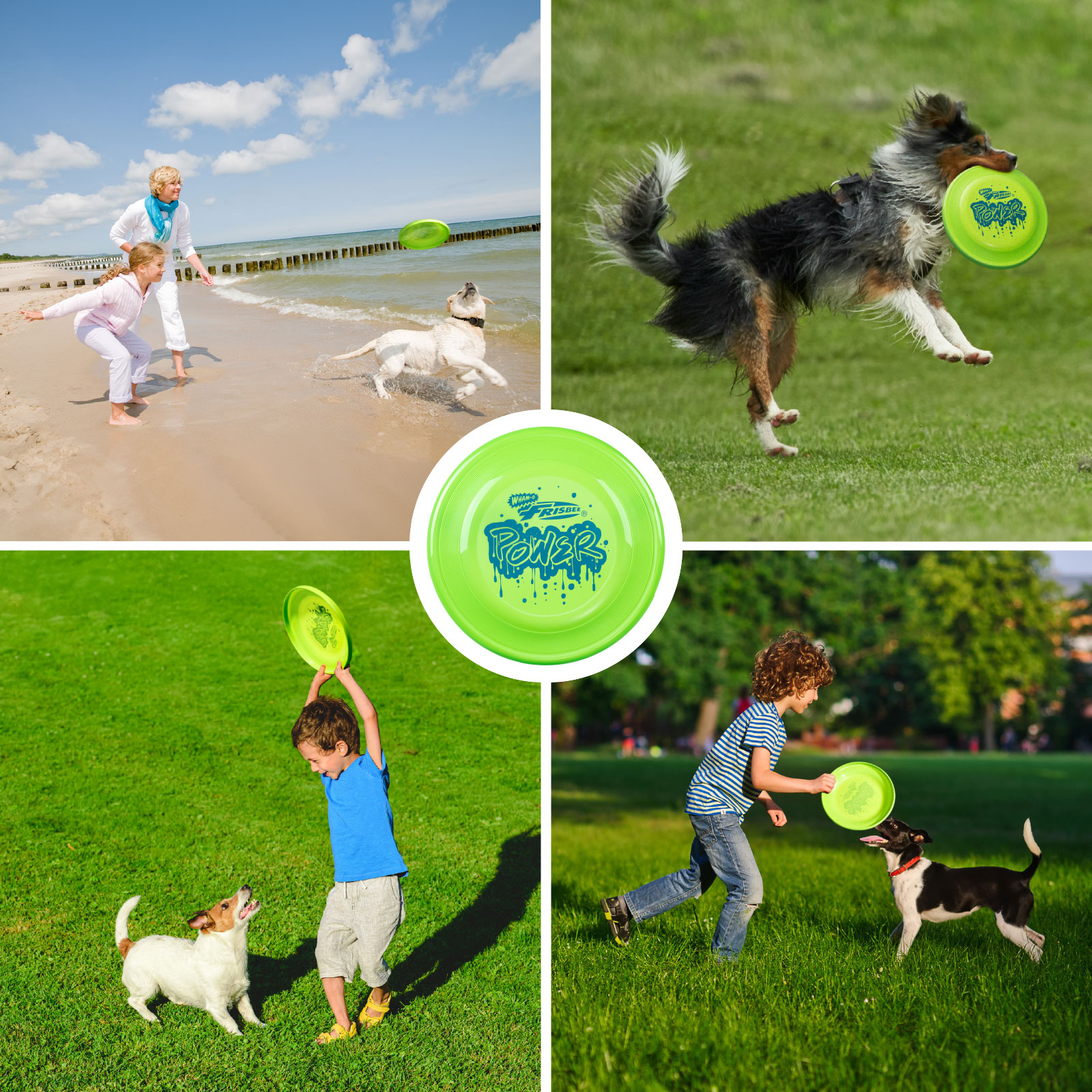 Vier Bilder zeigen Menschen und Hunde, die Frisbee in verschiedenen Umgebungen im Freien spielen.