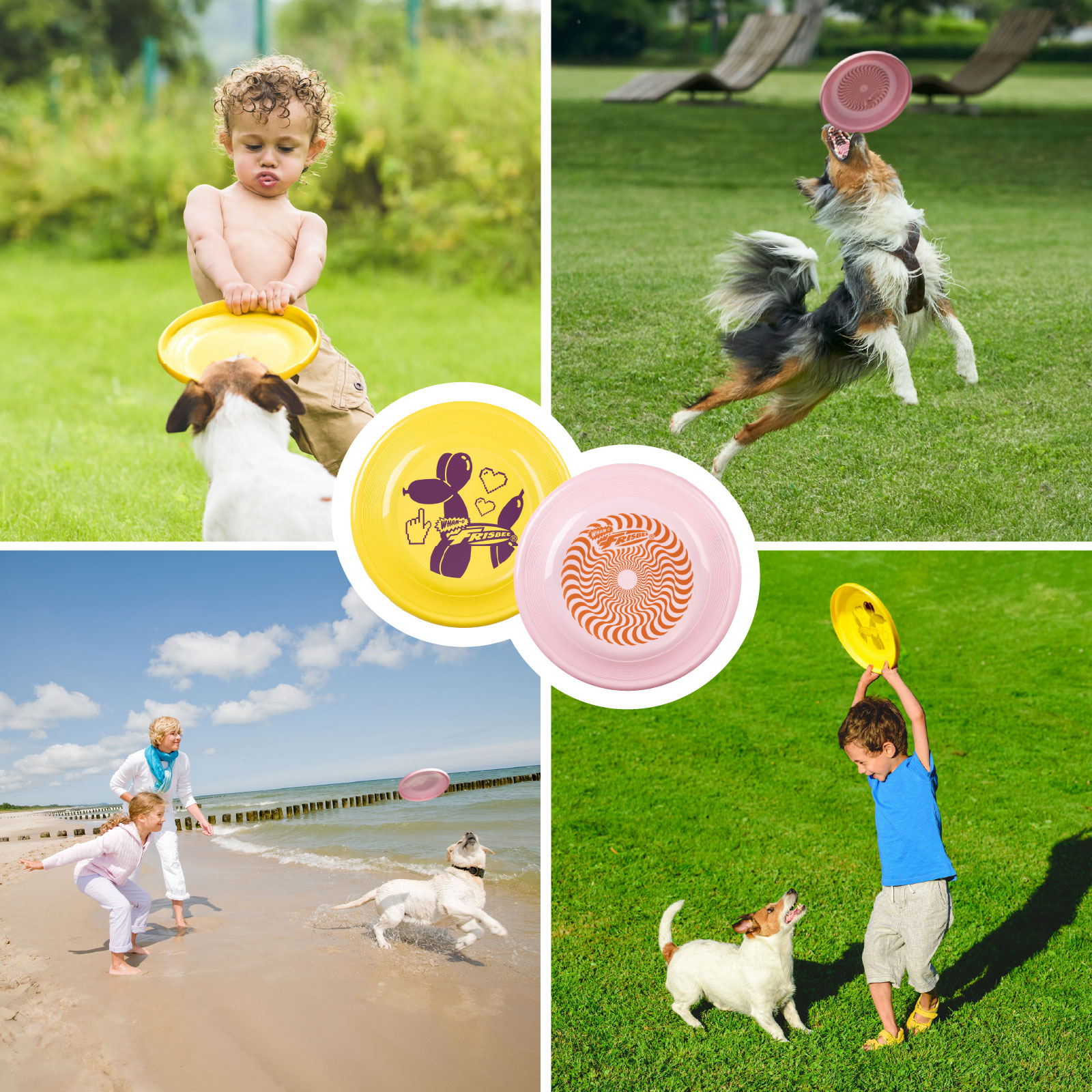 Vier Bilder von Kindern und Hunden, die mit Frisbees am Strand und im Park spielen, Frisbees sind sichtbar.