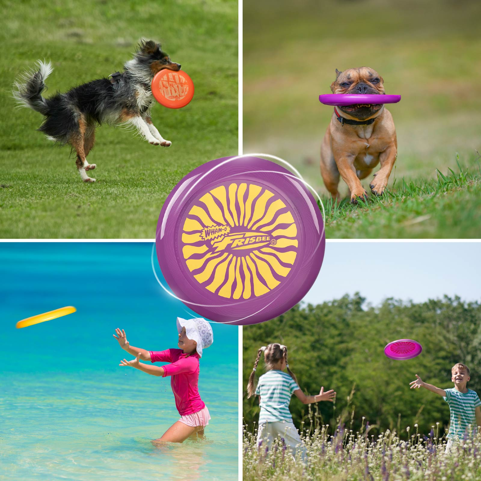 Vier Bilder: ein Hund, der eine Frisbee fängt, ein Hund mit einer Frisbee, ein Mädchen im Wasser und spielende Kinder.