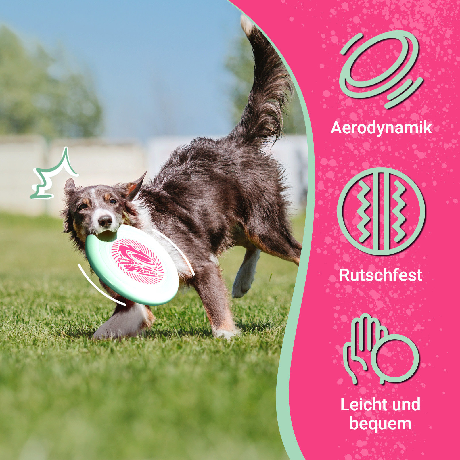 Ein Hund fängt eine grüne Frisbee. Symbole für Aerodynamik, Rutschfestigkeit und leicht und bequem.