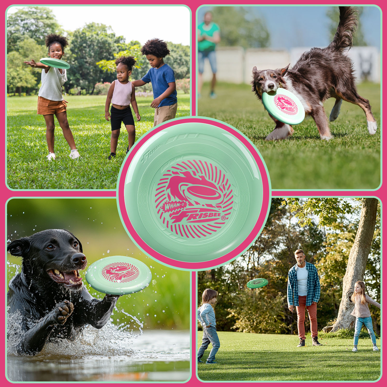 Eine Collage, die Menschen und Hunde zeigt, die im Park Frisbee spielen. Die Frisbees sind grün.