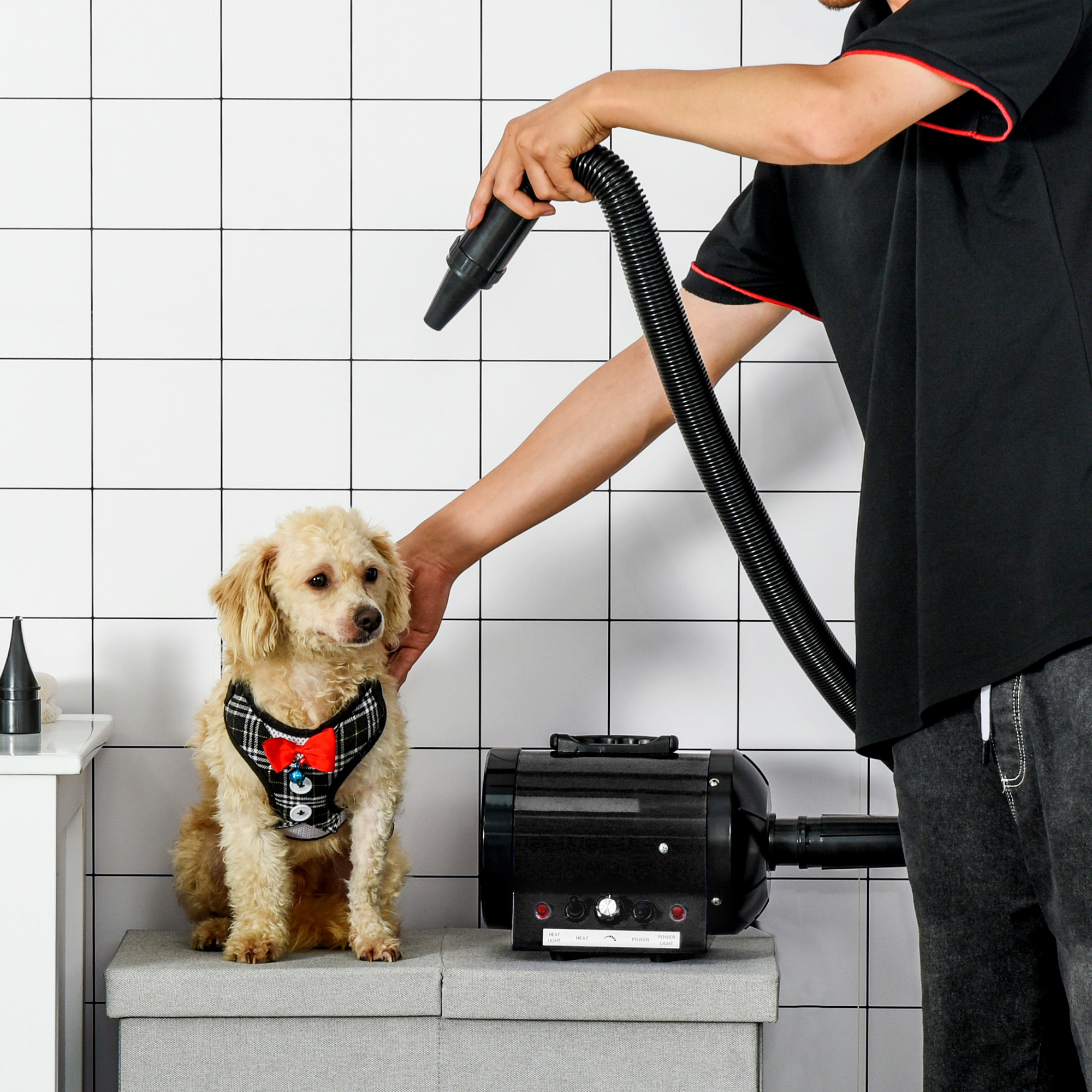 Un hombre secando a un perro pequeño con un secador de pelo negro para mascotas en una habitación con azulejos blancos.