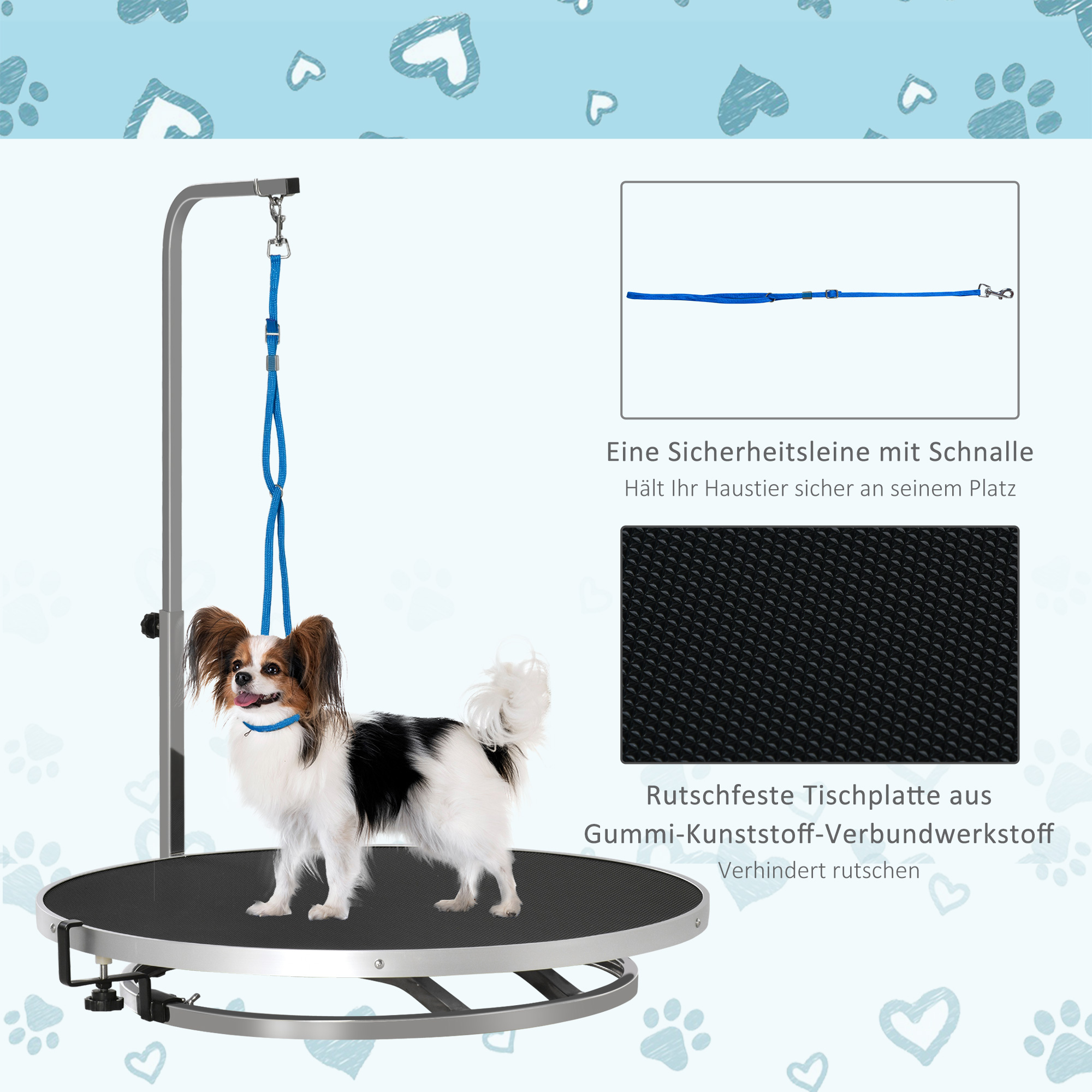 Ein kleiner Hund auf einem Pflegetisch. Eine blaue Leine hängt darüber. Der Tisch ist schwarz.
