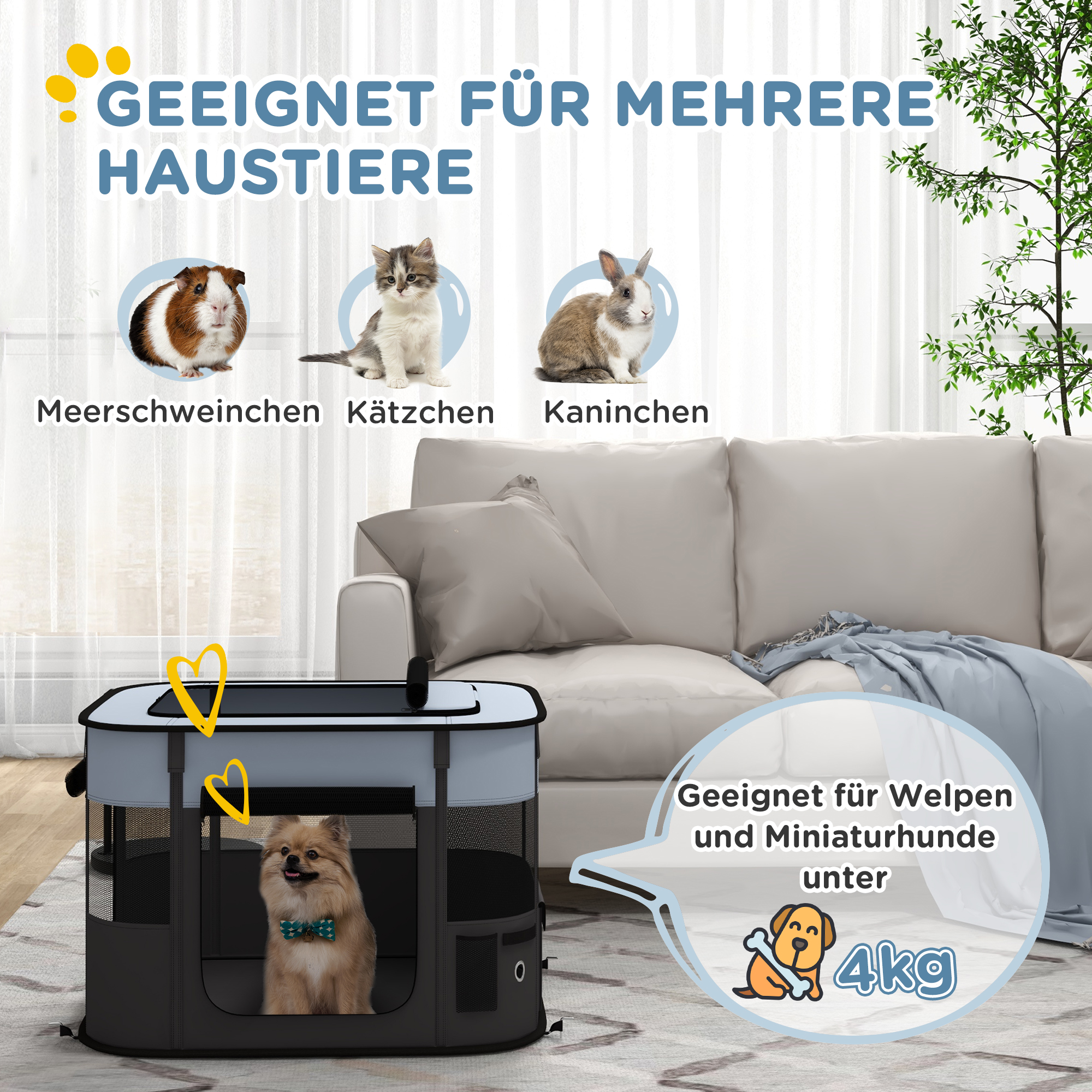 Hundeauslauf mit Haustieren. Meerschweinchen, Kätzchen, Kaninchen und Hund mit Text.
