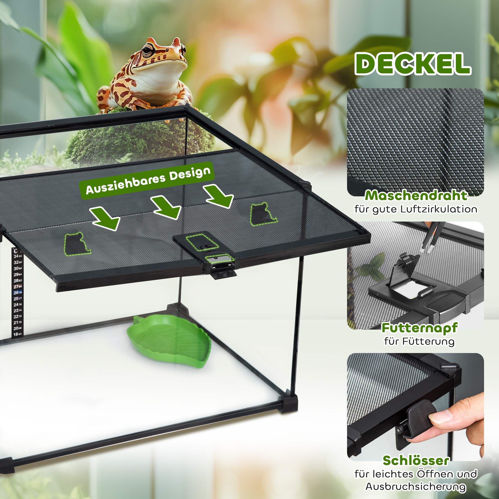 Detaillierte Ansicht eines Terrariums mit Frosch, mit einem Netzdeckel und Details zum Futterbecken.