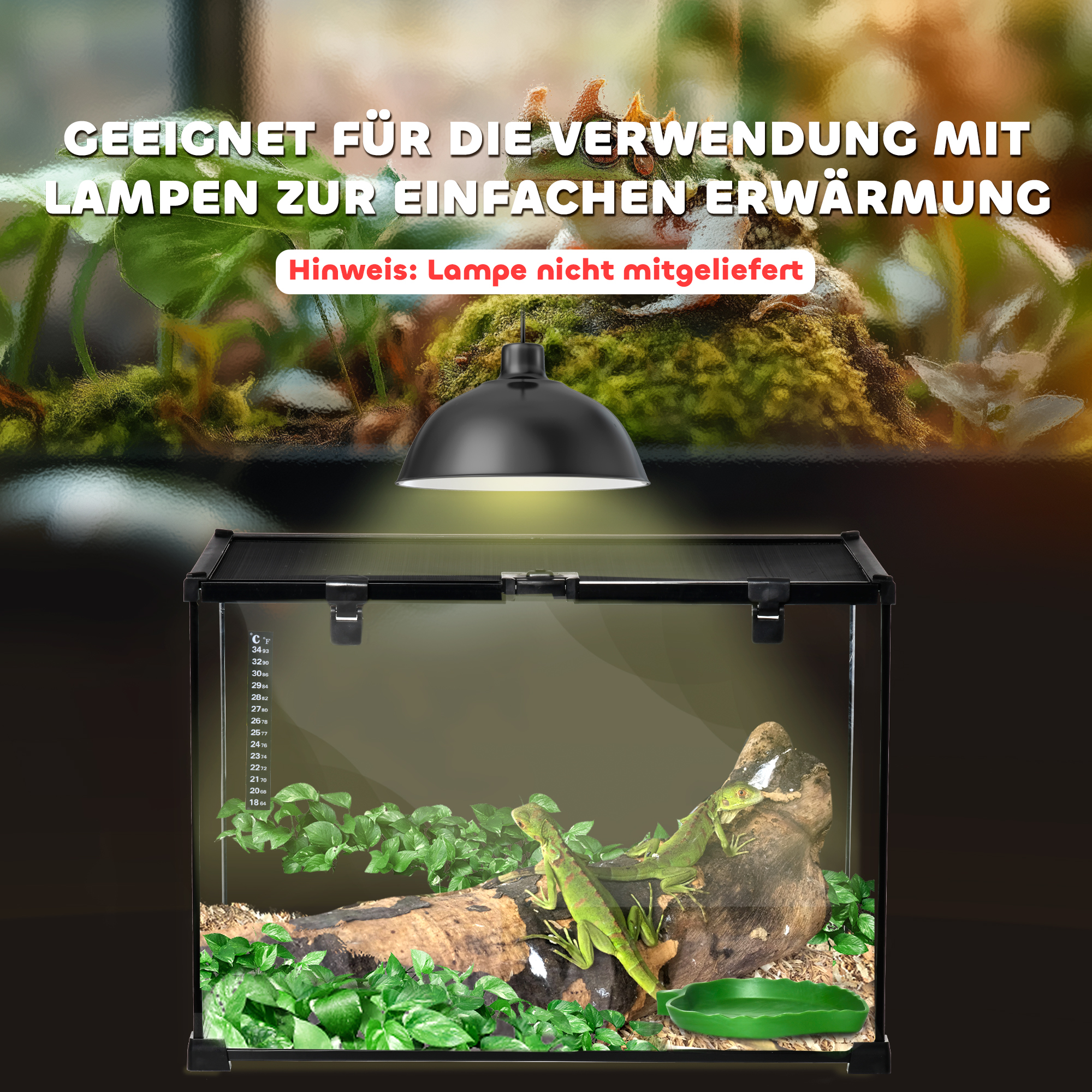 Terrarium mit Lampe, zwei grünen Leguanen, Blättern und einem Baumstamm. Text oben.
