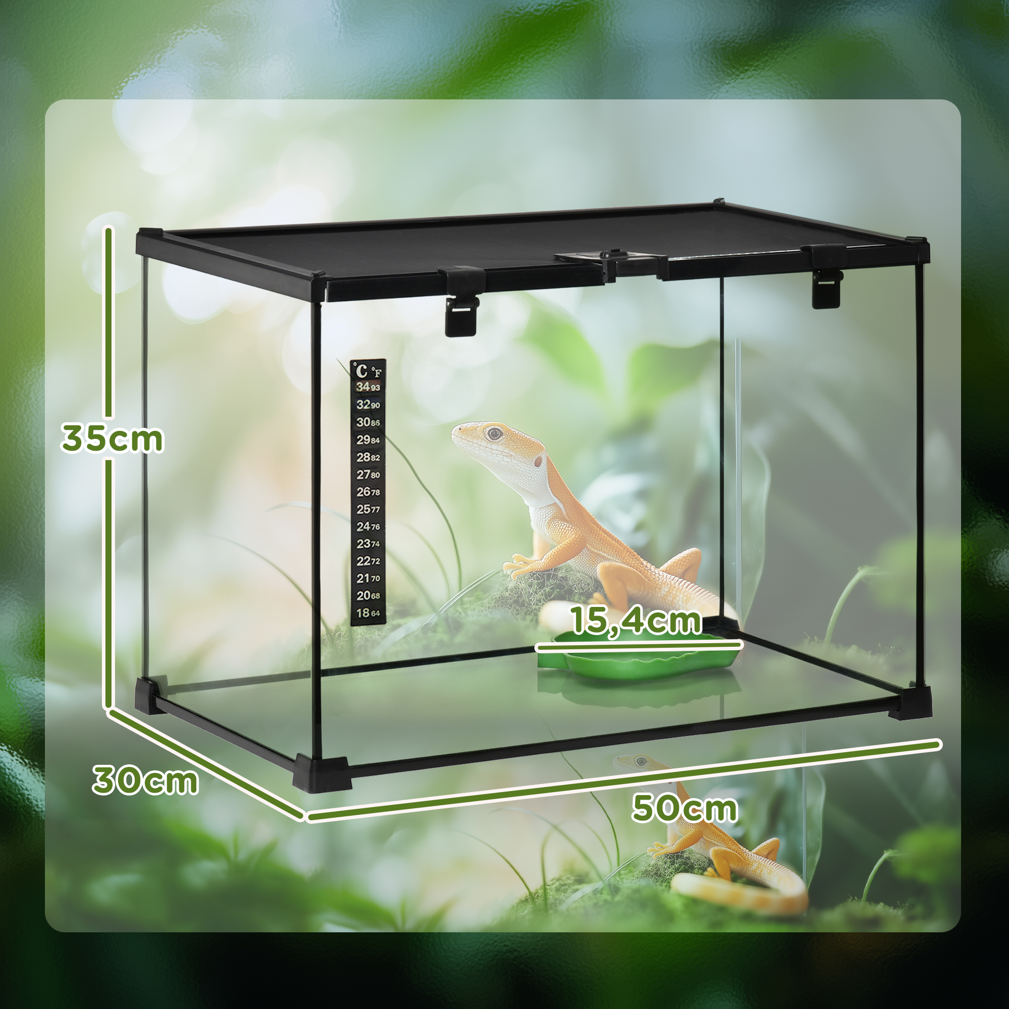 Terrarium mit Eidechse, grüner Schale und Temperaturskala, in einer naturalistischen Umgebung.