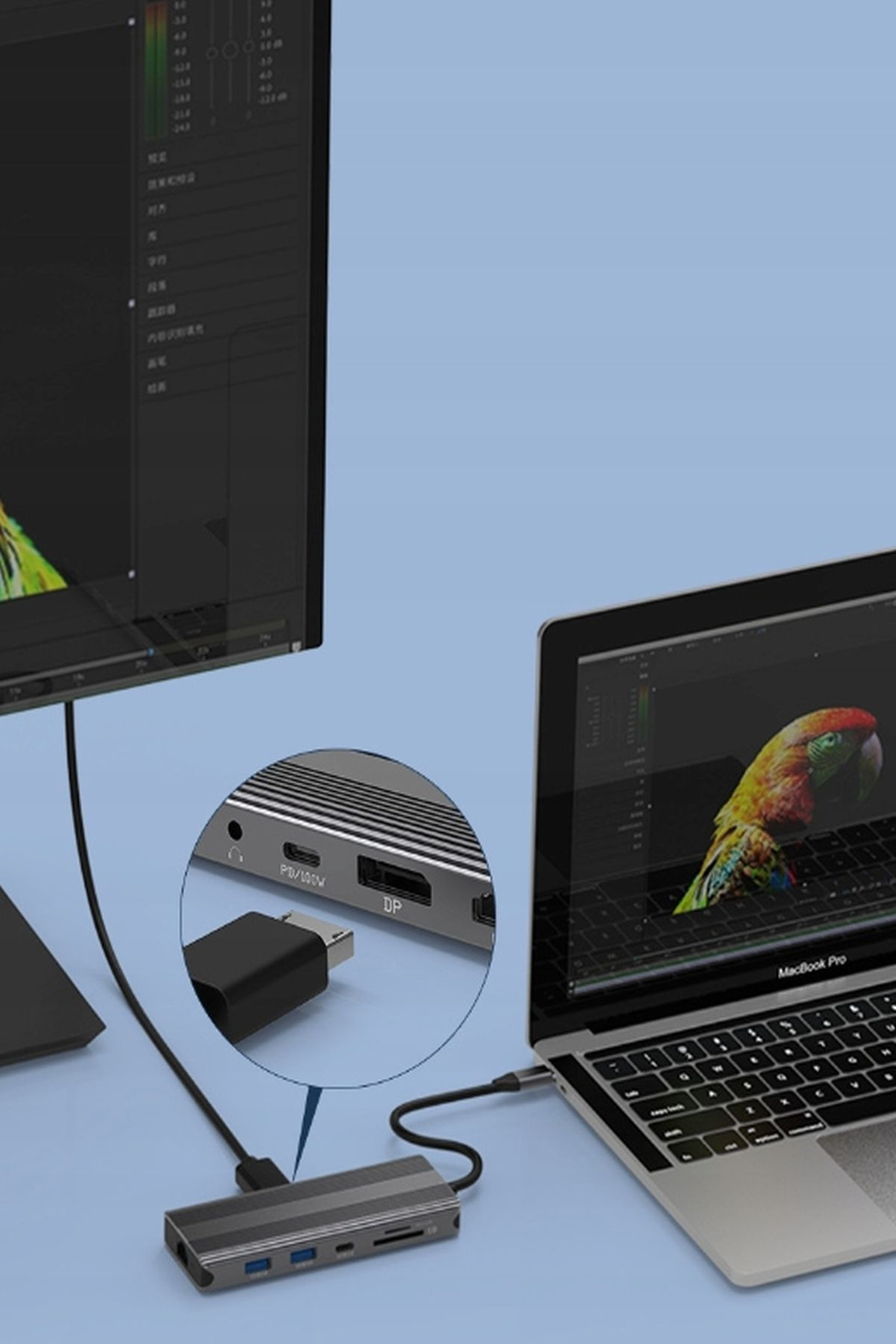 Laptop podłączony do monitora i huba. Laptop wyświetla obraz papugi. Hub znajduje się na niebieskiej powierzchni.