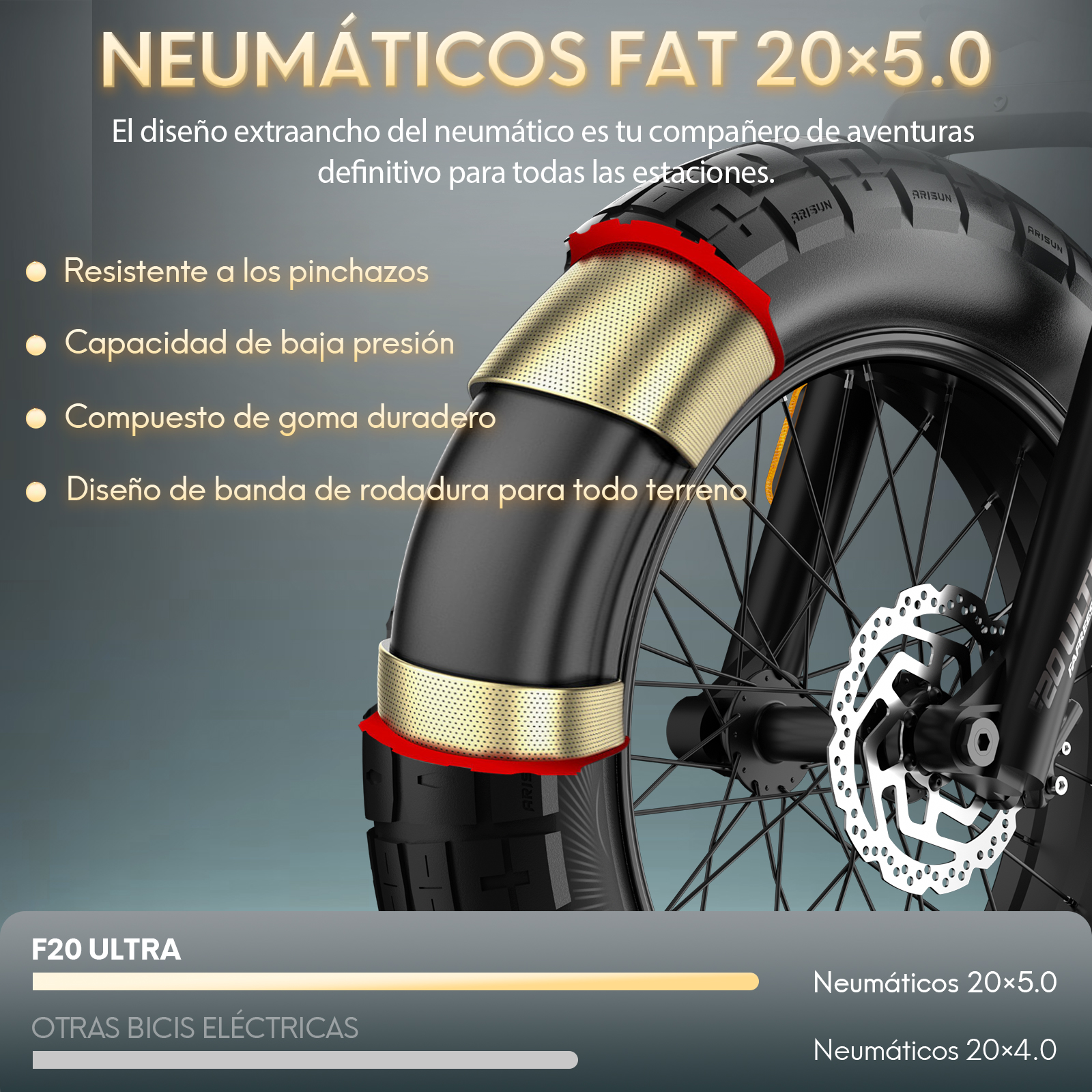 Primer plano de una llanta de bicicleta y su rueda. El neumático es grueso y tiene dibujo.