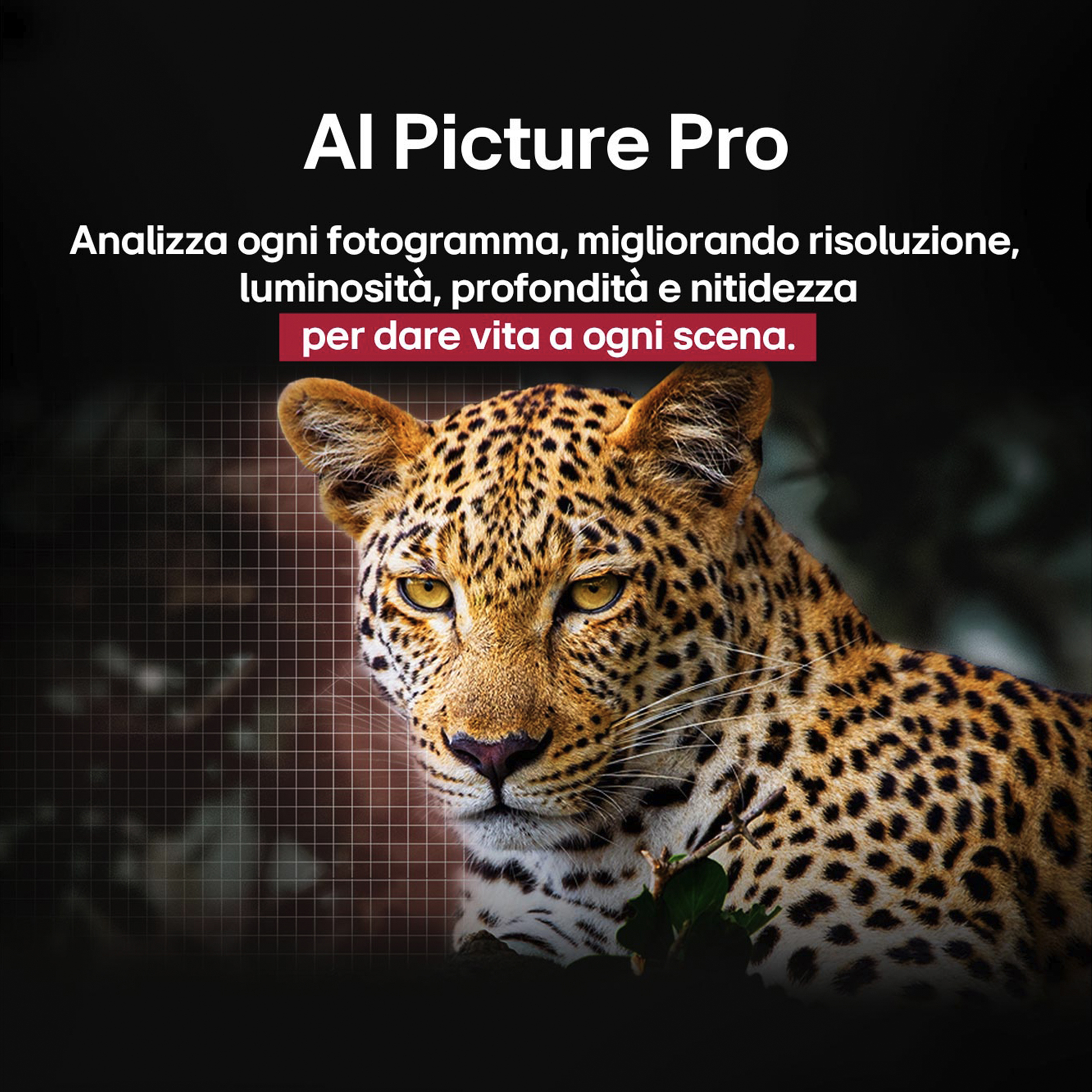 Un gros plan d'un léopard avec du texte sur AI Picture Pro améliorant la qualité de l'image.