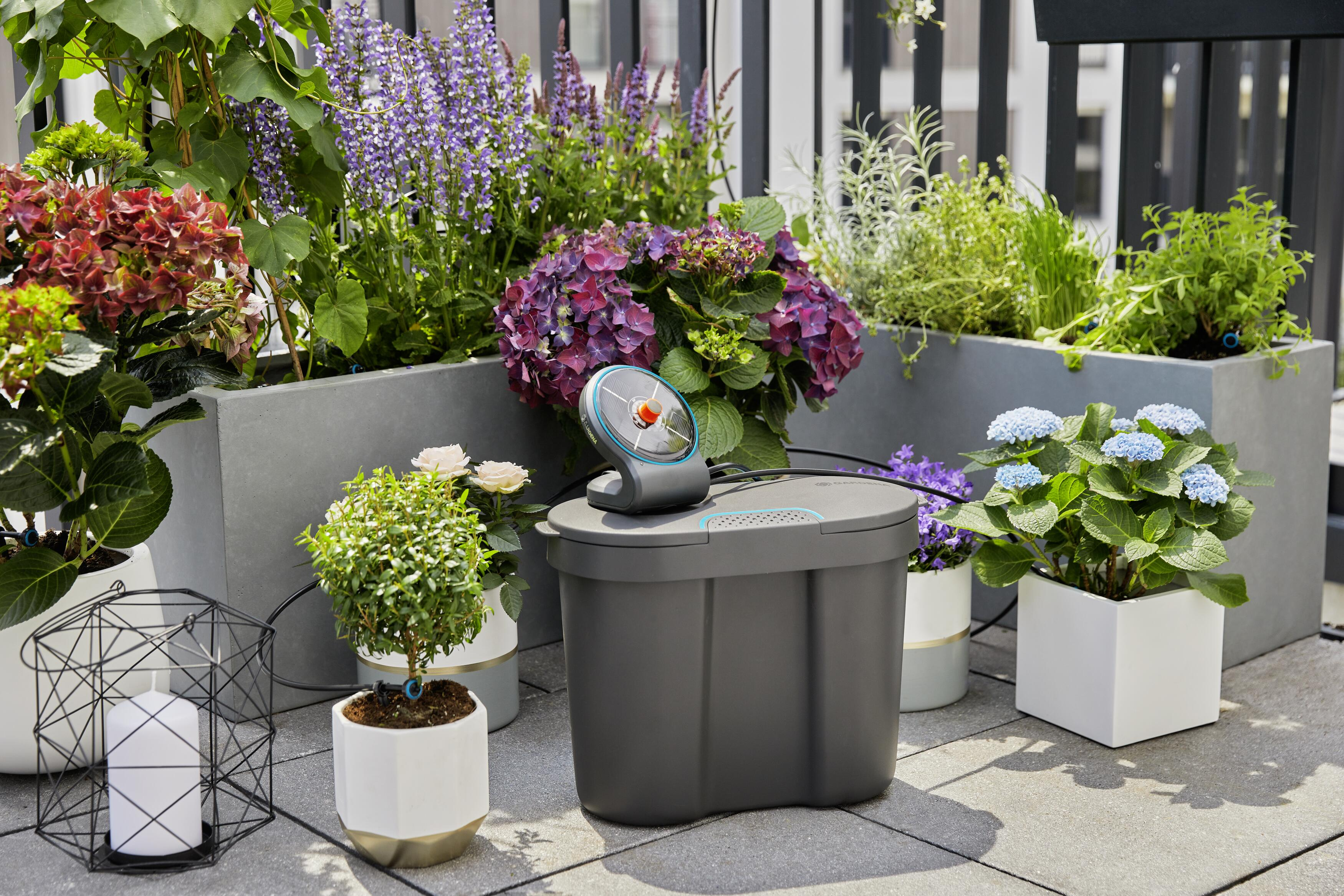 Scena ogrodowa z różnymi roślinami i szarym systemem nawadniania na tarasie. Kwiaty w tle.