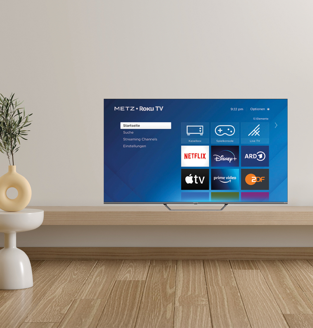 Ein Fernsehbildschirm zeigt ein Menü. Der Fernseher steht auf einem Holzregal. Links sind eine Vase und eine Pflanze.