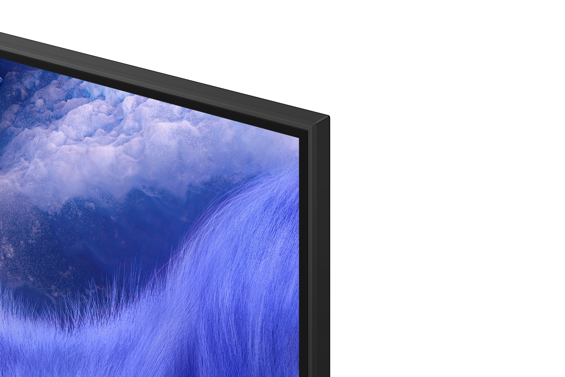 Nahaufnahme einer schwarzen TV-Blende, die einen verschwommenen blau-weißen Hintergrund zeigt, mit etwas Gras.
