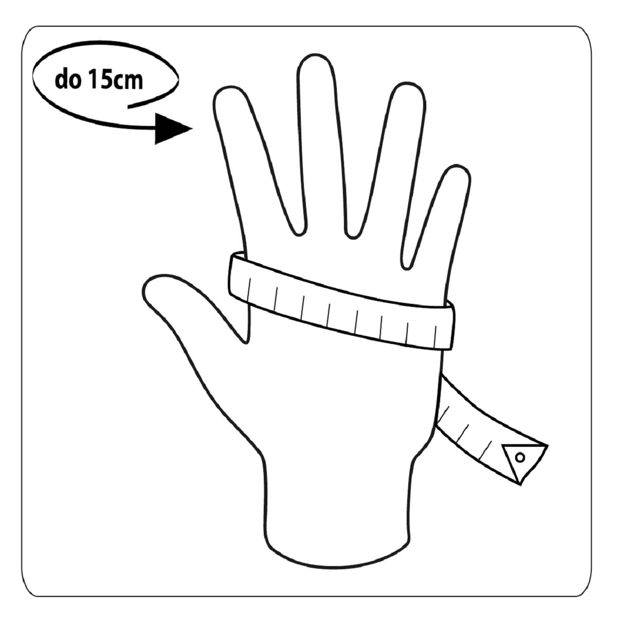 Eine Hand wird mit einem Maßband gemessen. Die Hand ist auf weißem Hintergrund. Pfeil zeigt auf 15 cm.