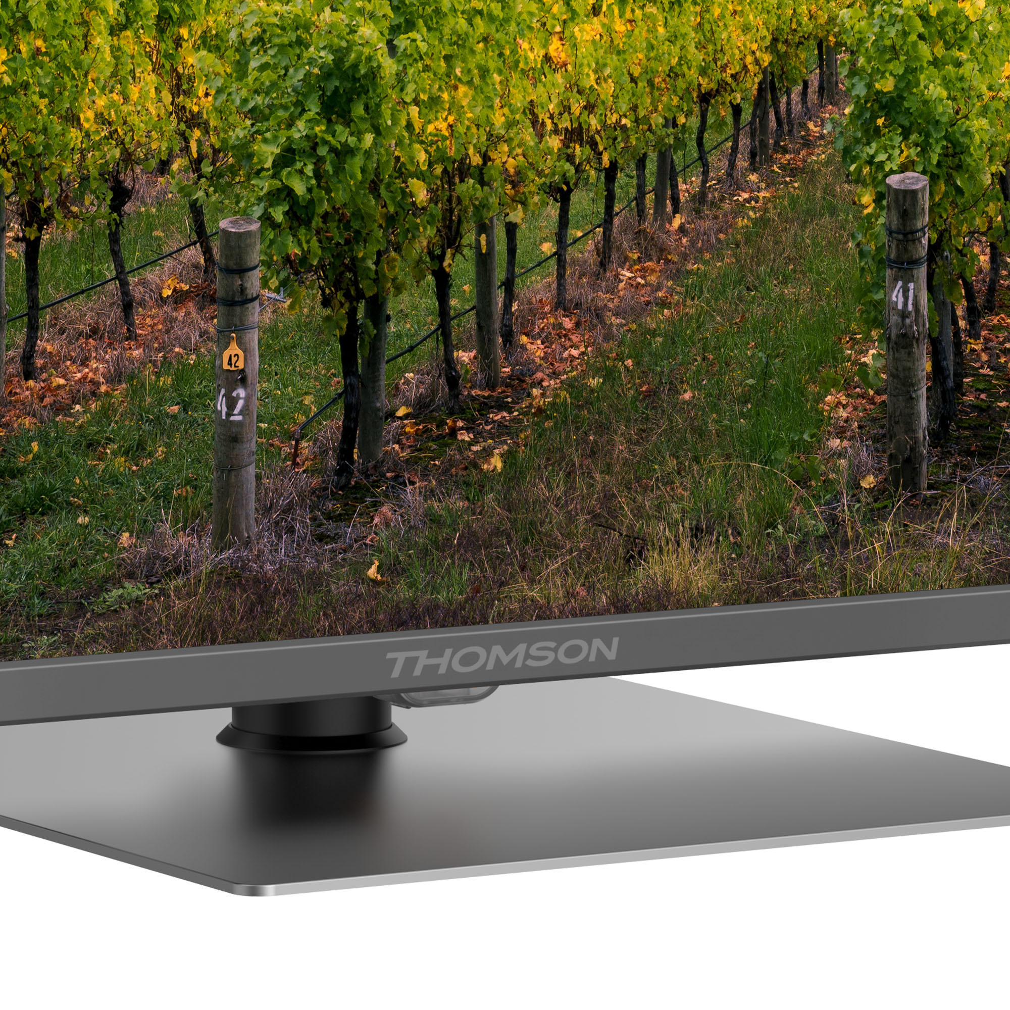 Telewizor Thomson pokazujący scenę winnicy, z rzędami winorośli i drewnianymi słupkami.