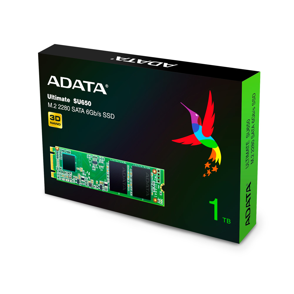 Scatola SSD ADATA con un colibrì colorato. La scatola è verde e nera.